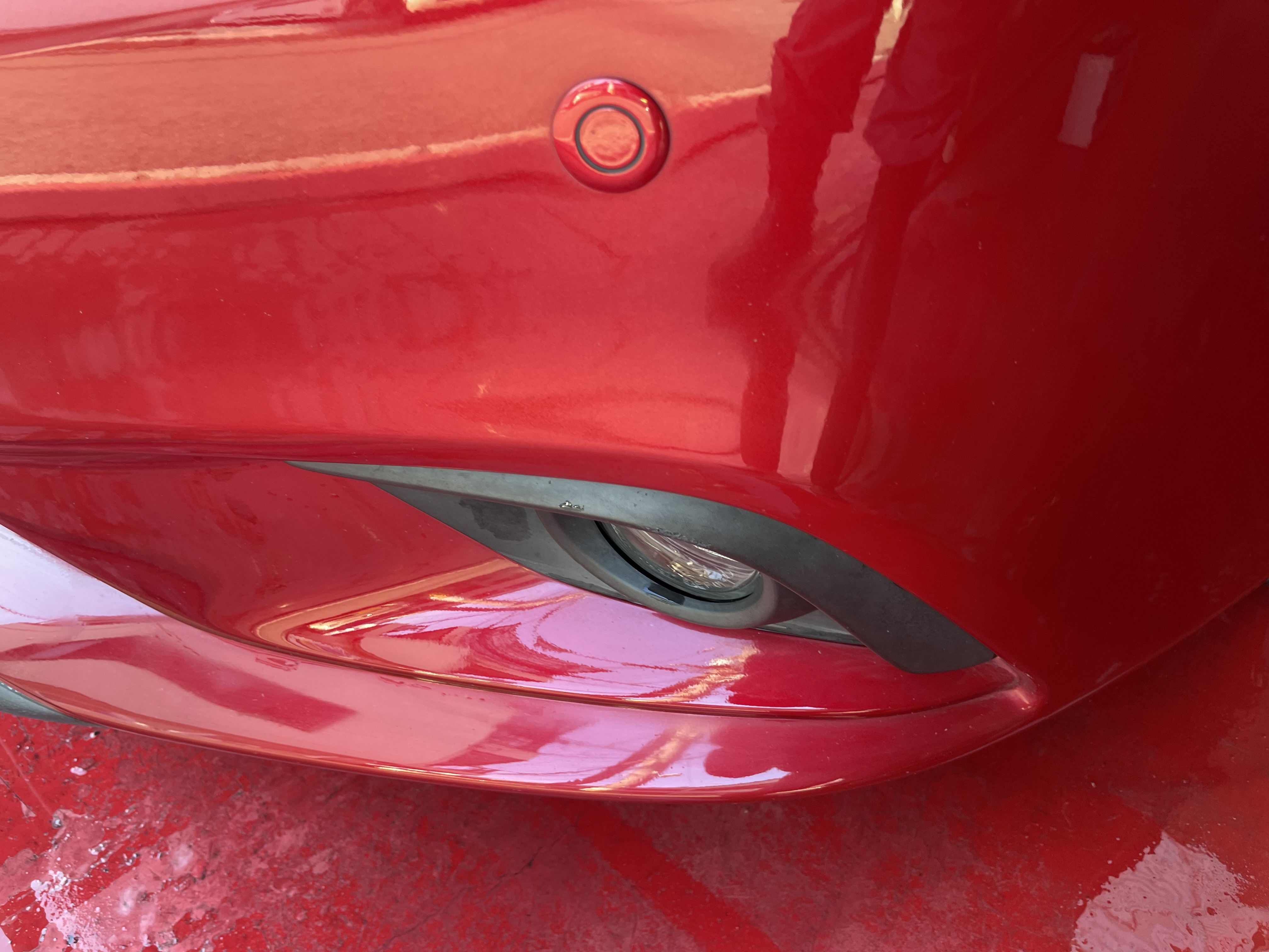 IMG_7735.jpeg?1776034501264