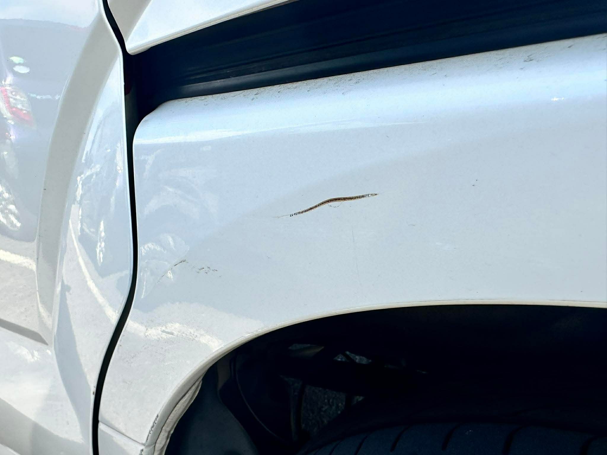 12622ab3c9fee33bbb5c0ed21e5d07b6.jpeg?17