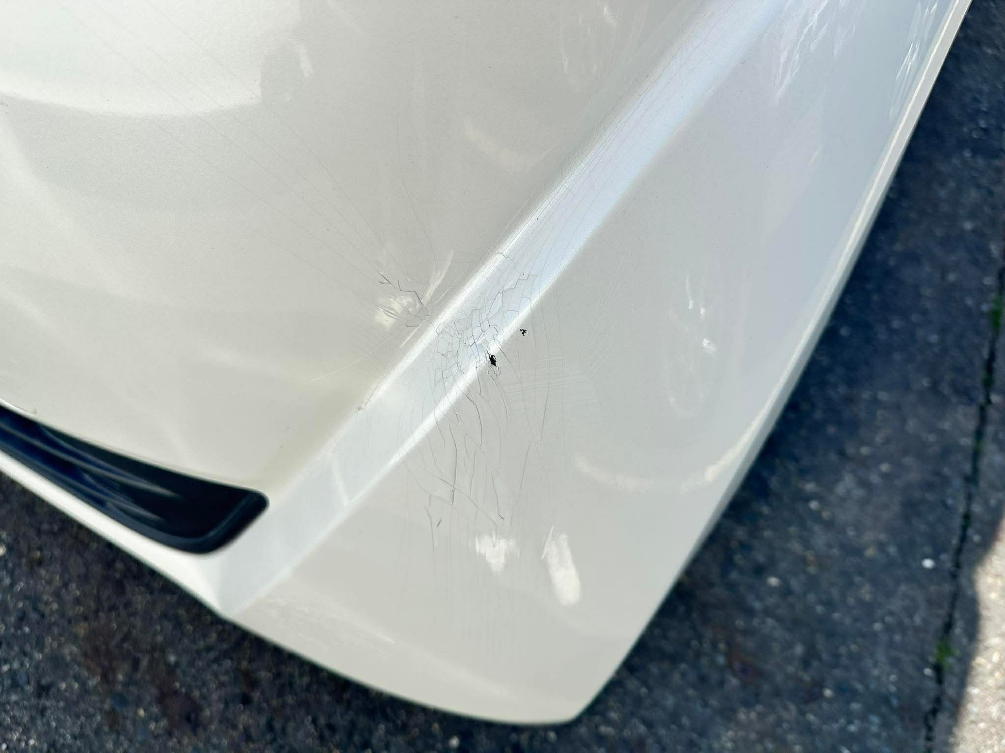 63cf4d4063f94cb310b5f53a99310b54.jpeg?17