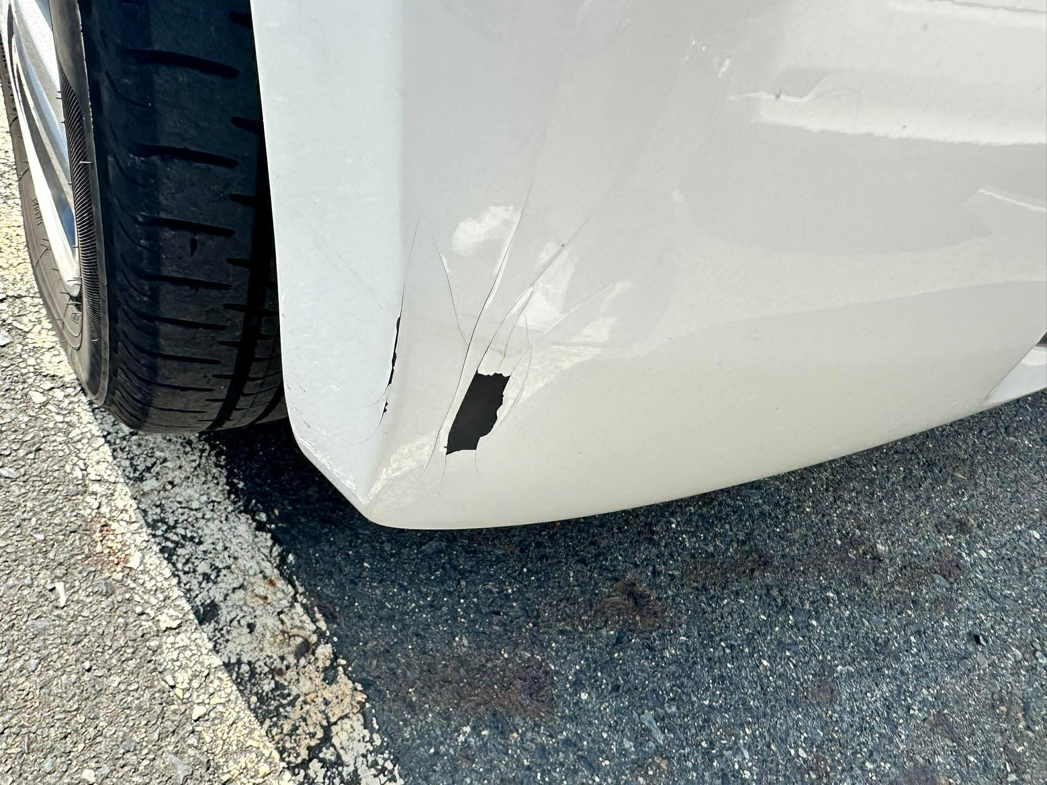 75dd41a9f2bfaf0c73bcb155af308b82.jpeg?17