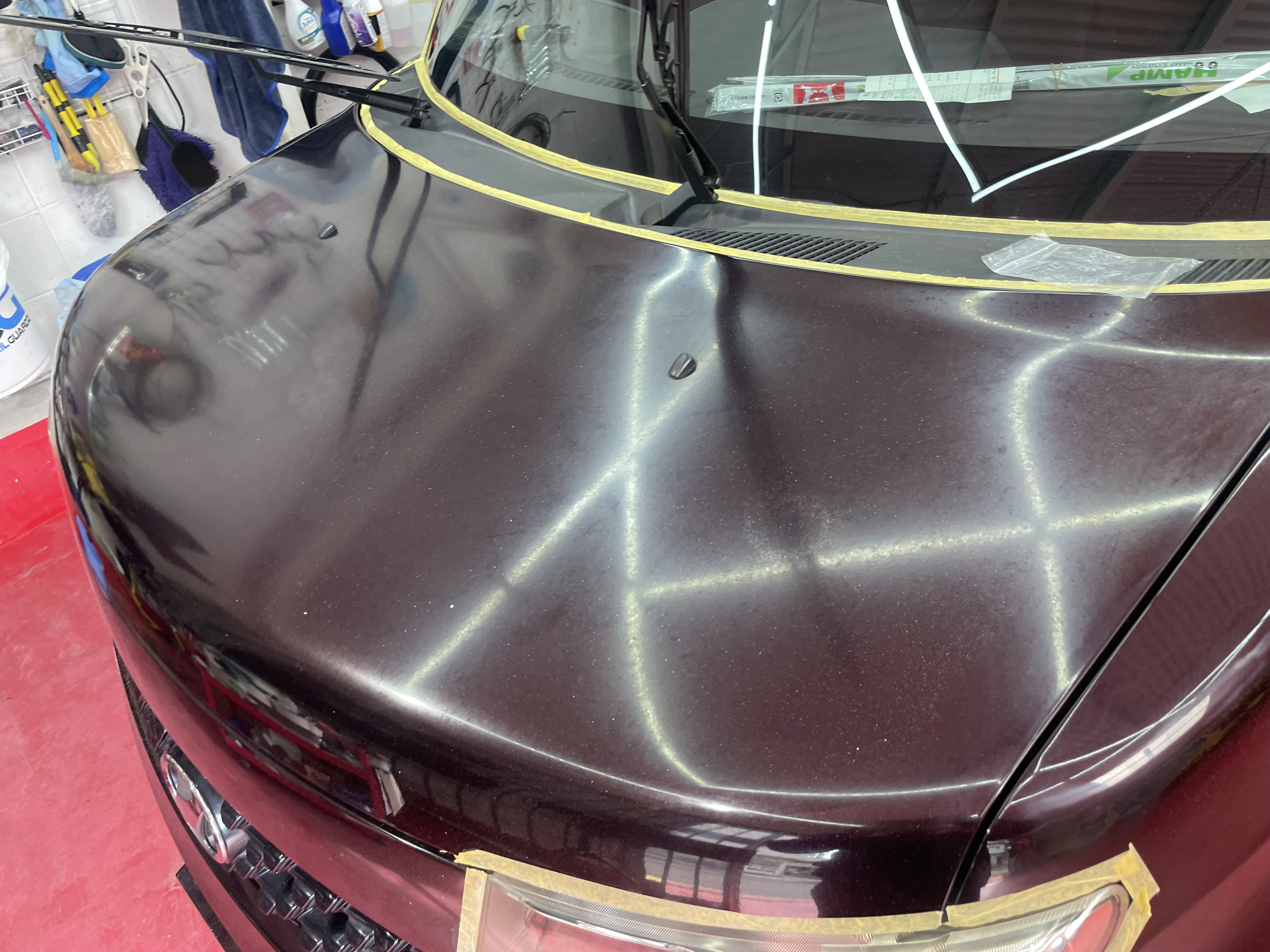 IMG_7799.jpeg?1776754811729