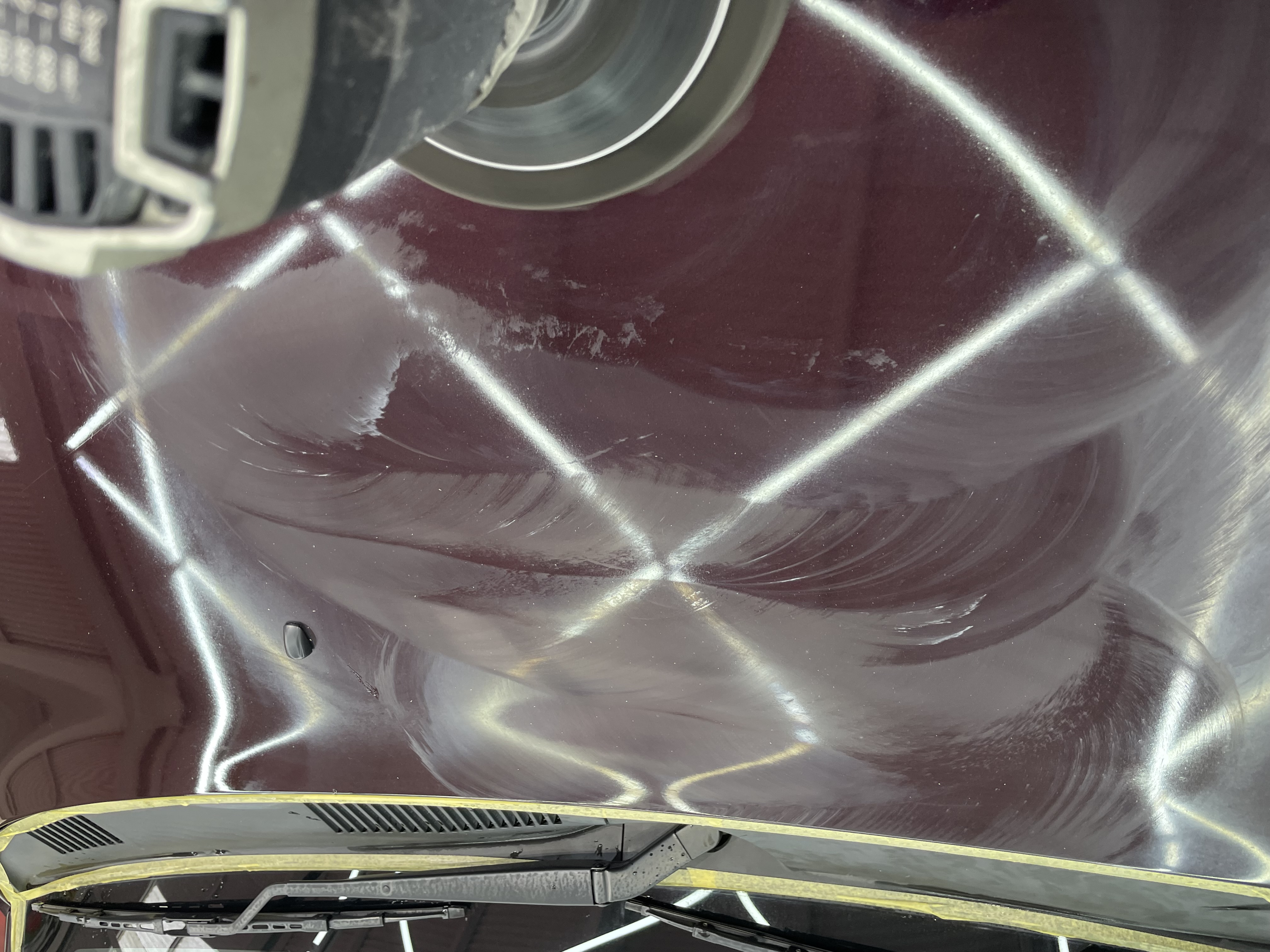 IMG_7811.jpeg?1776755101948