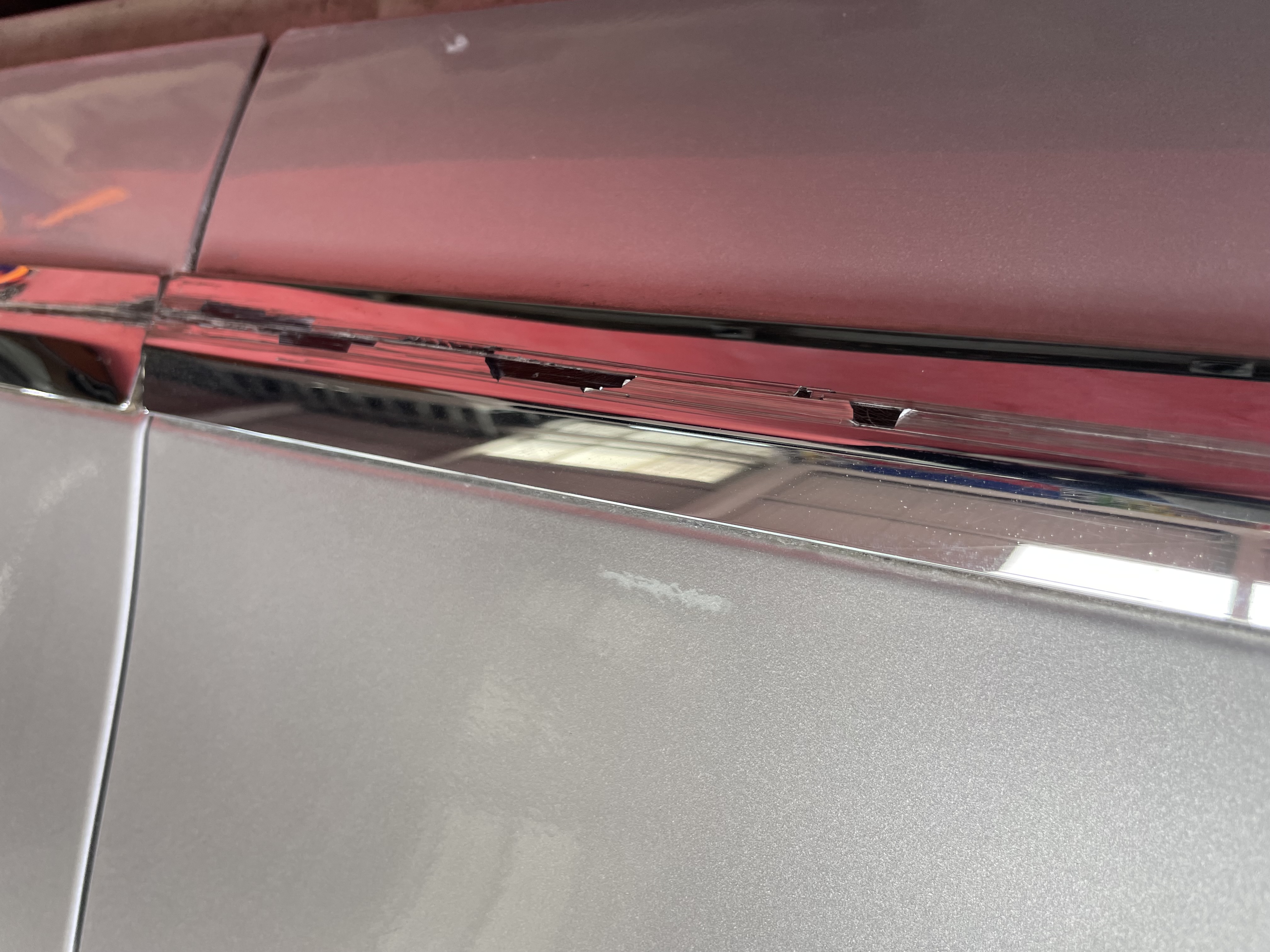 IMG_7986.jpeg?1776749216659