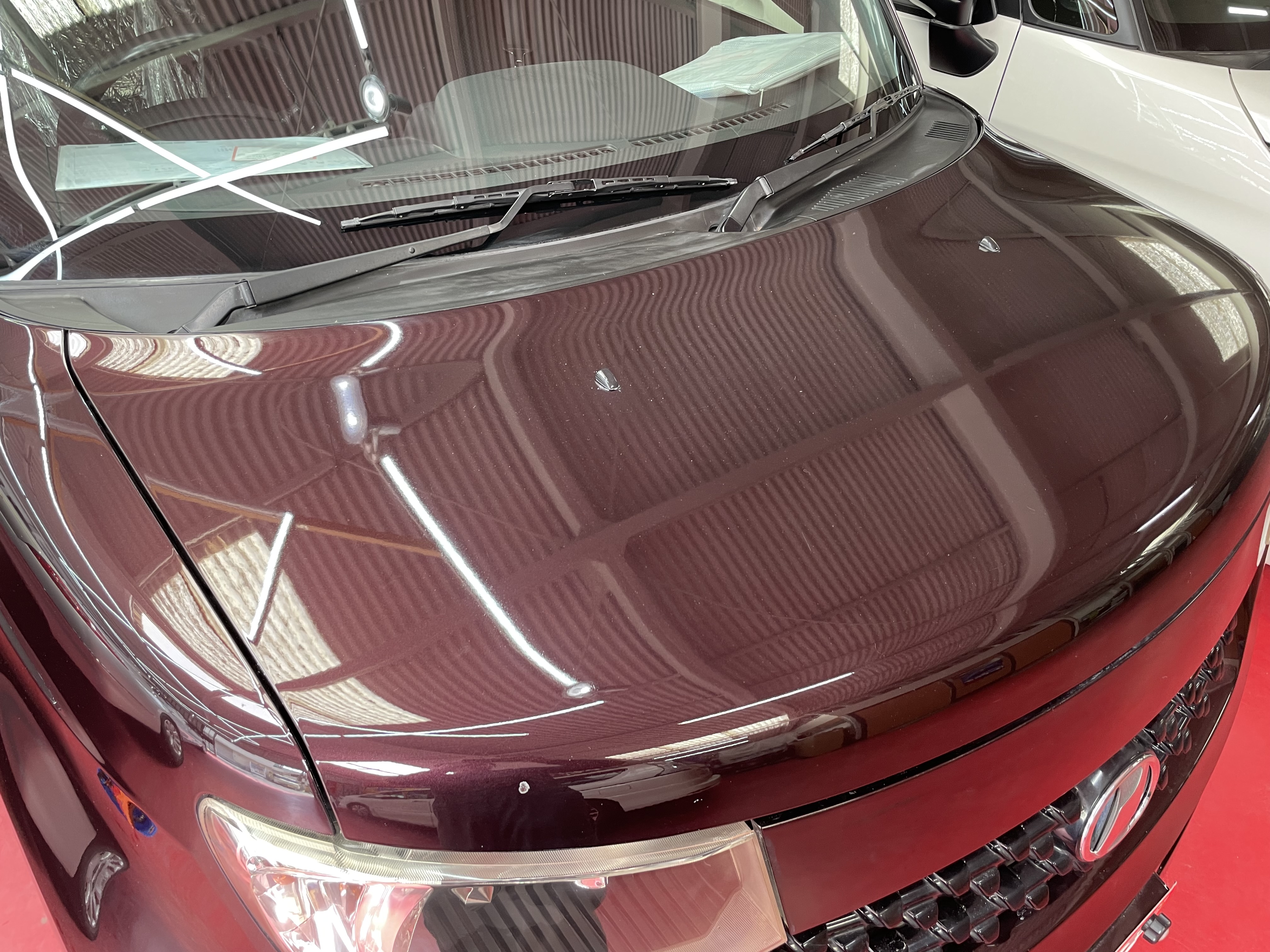 IMG_7989.jpeg?1776756059927