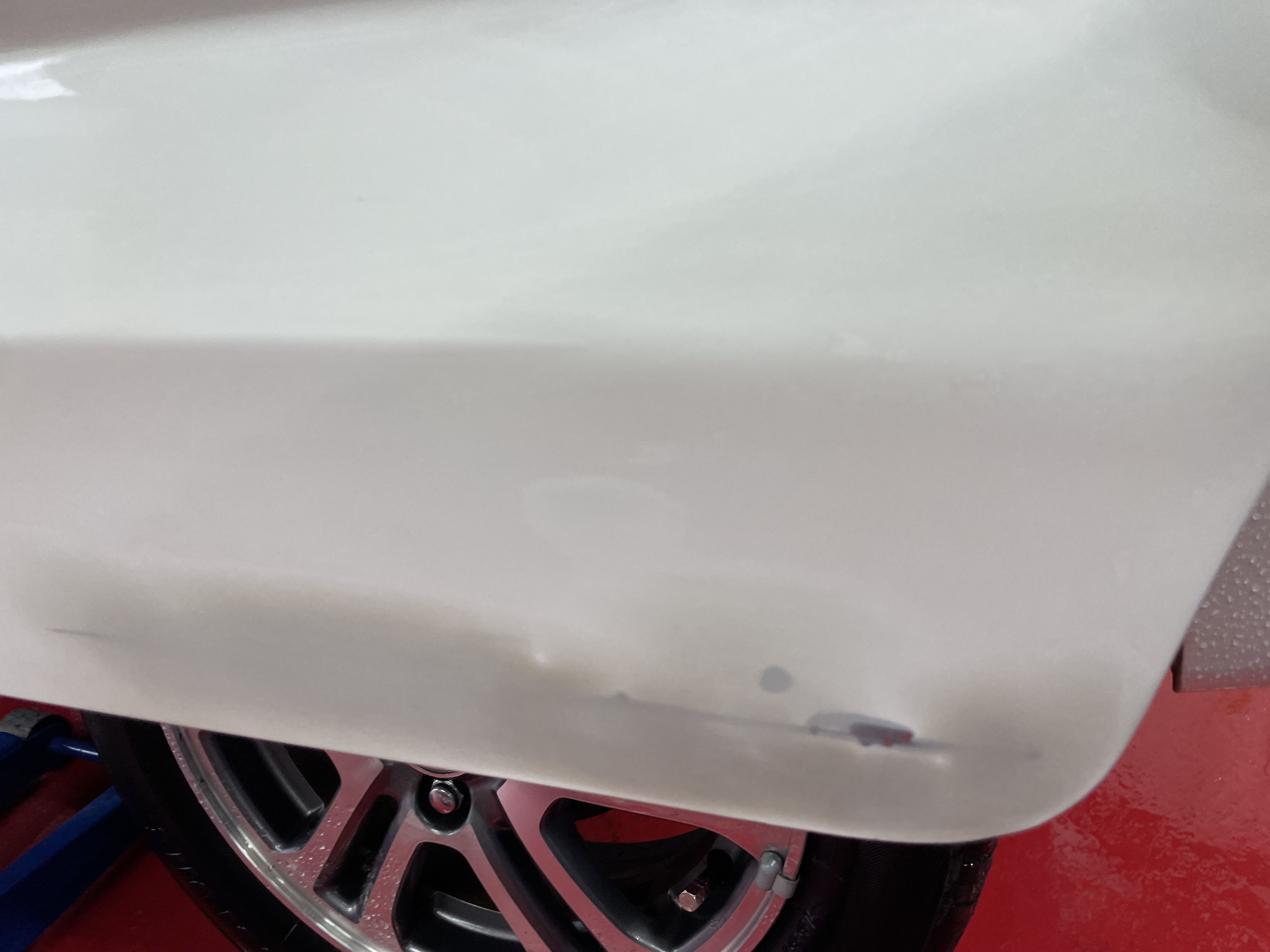 IMG_8281.jpeg?1777215813441