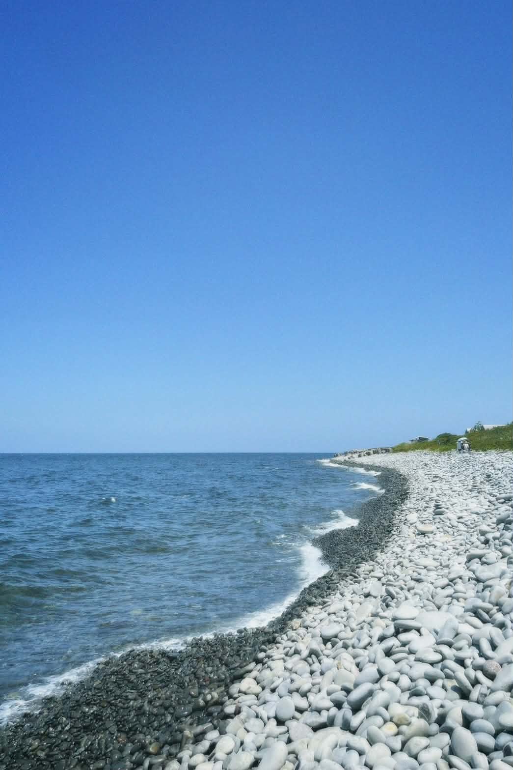 89f6e60e-a465-4094-8df4-67e6f6ae3260.jpg