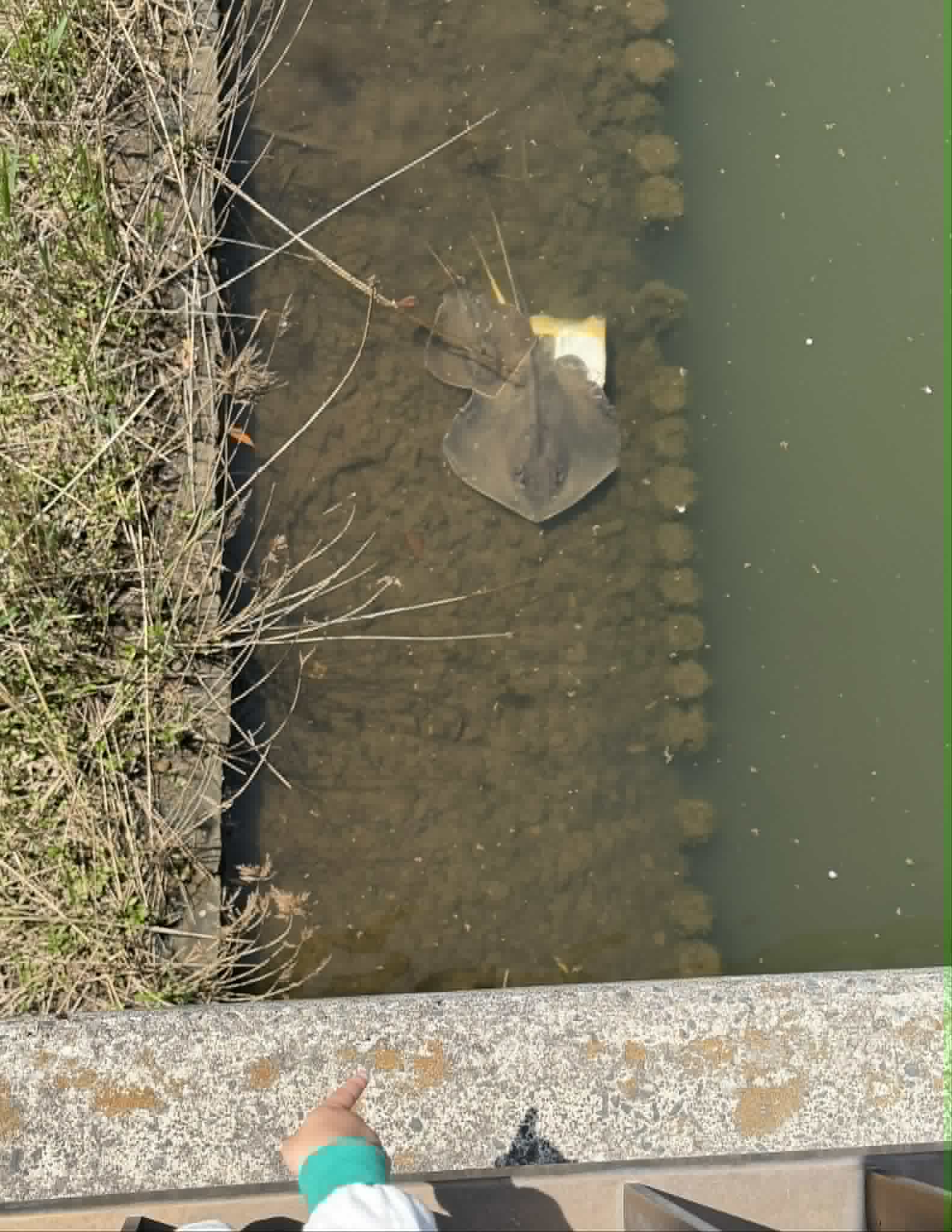 %E3%83%80%E3%82%A6%E3%83%B3%E3%83%AD%E3%