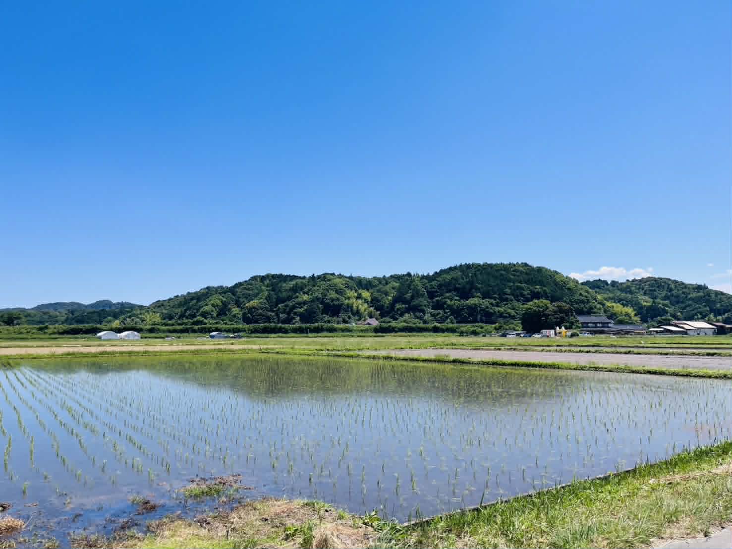 91597a60-80ff-4592-8fa6-be186feecf07.jpg