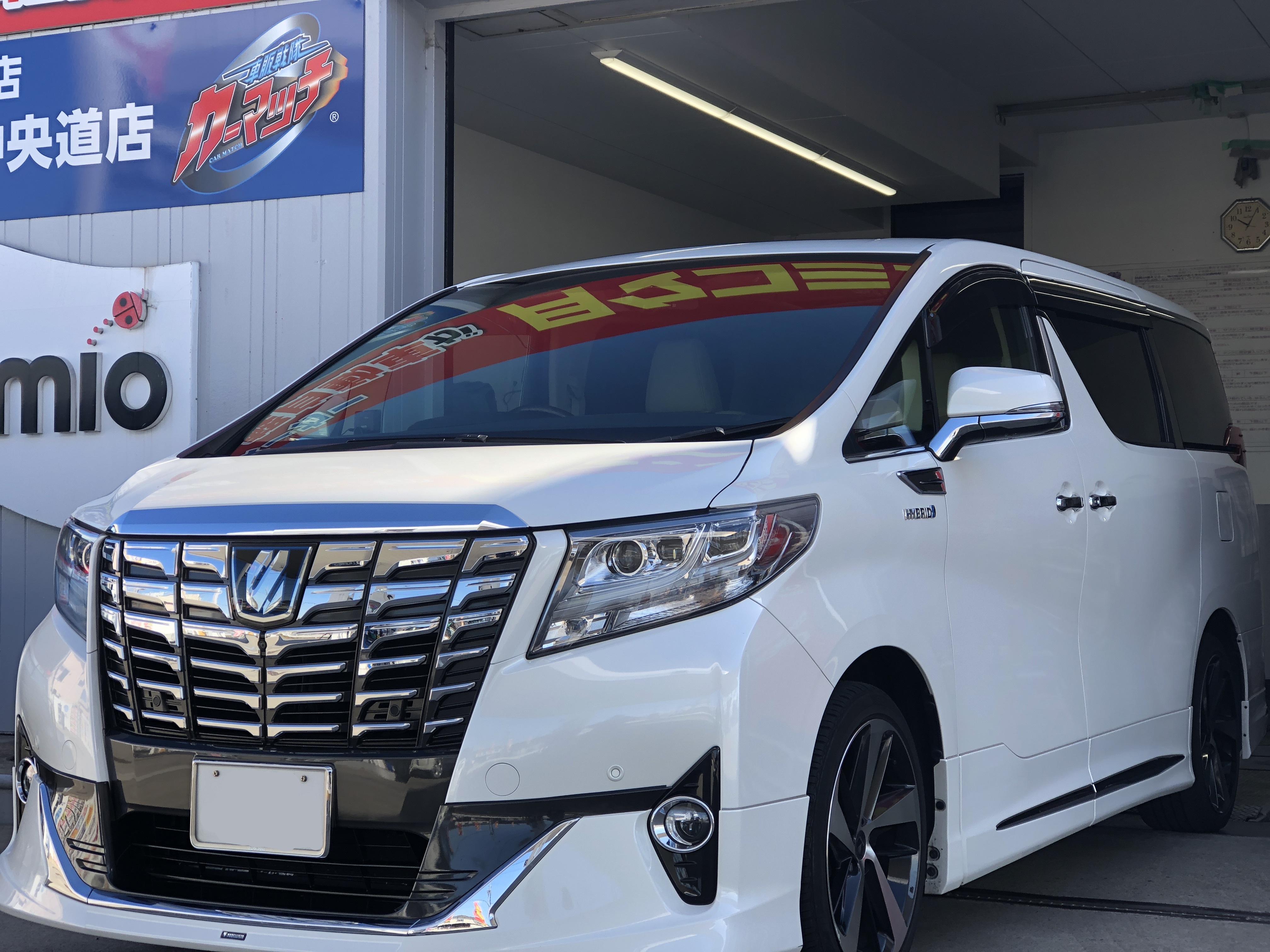 IMG_2651.JPG?1765412699400