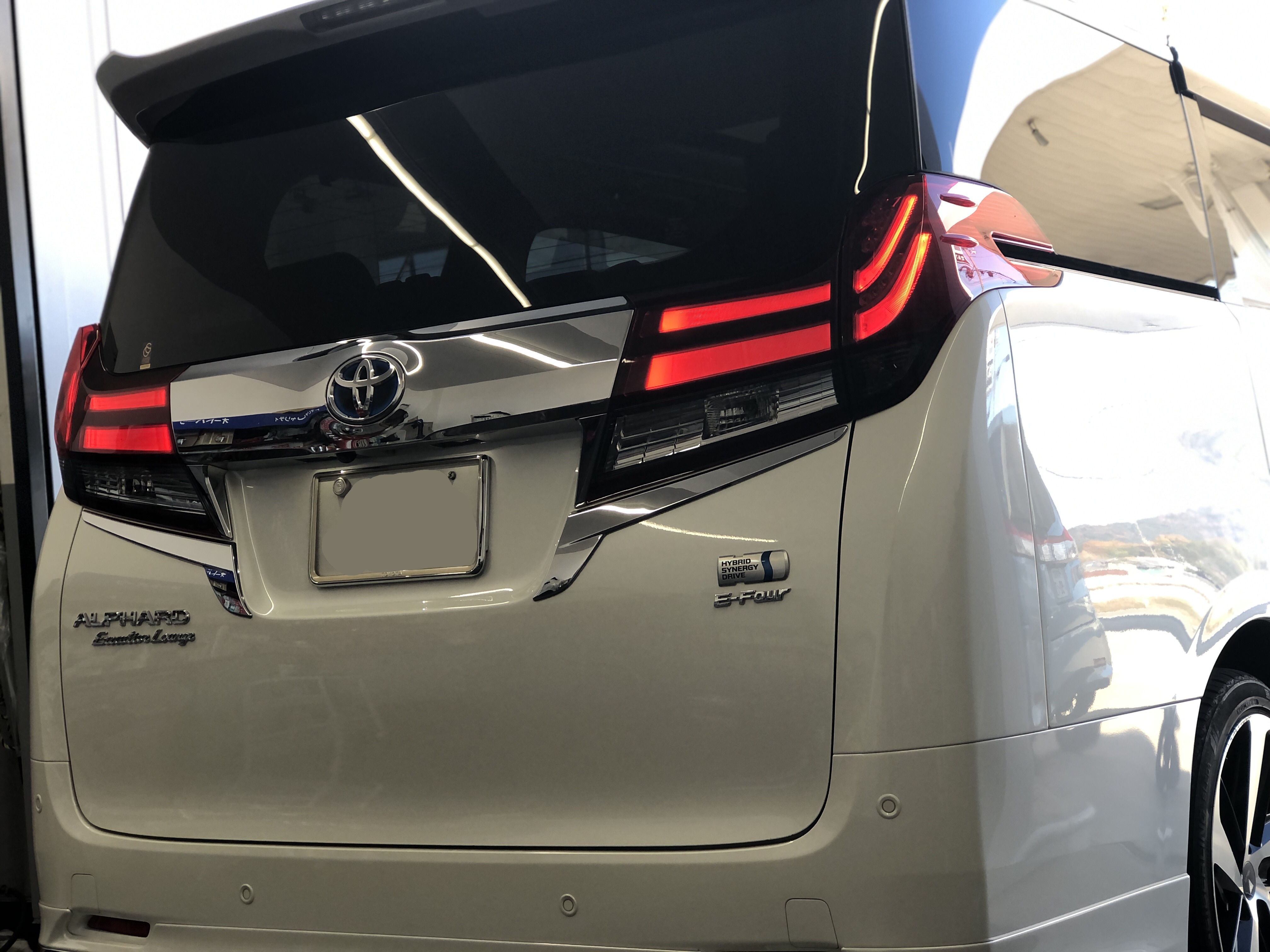 IMG_2662.jpg?1765413007553