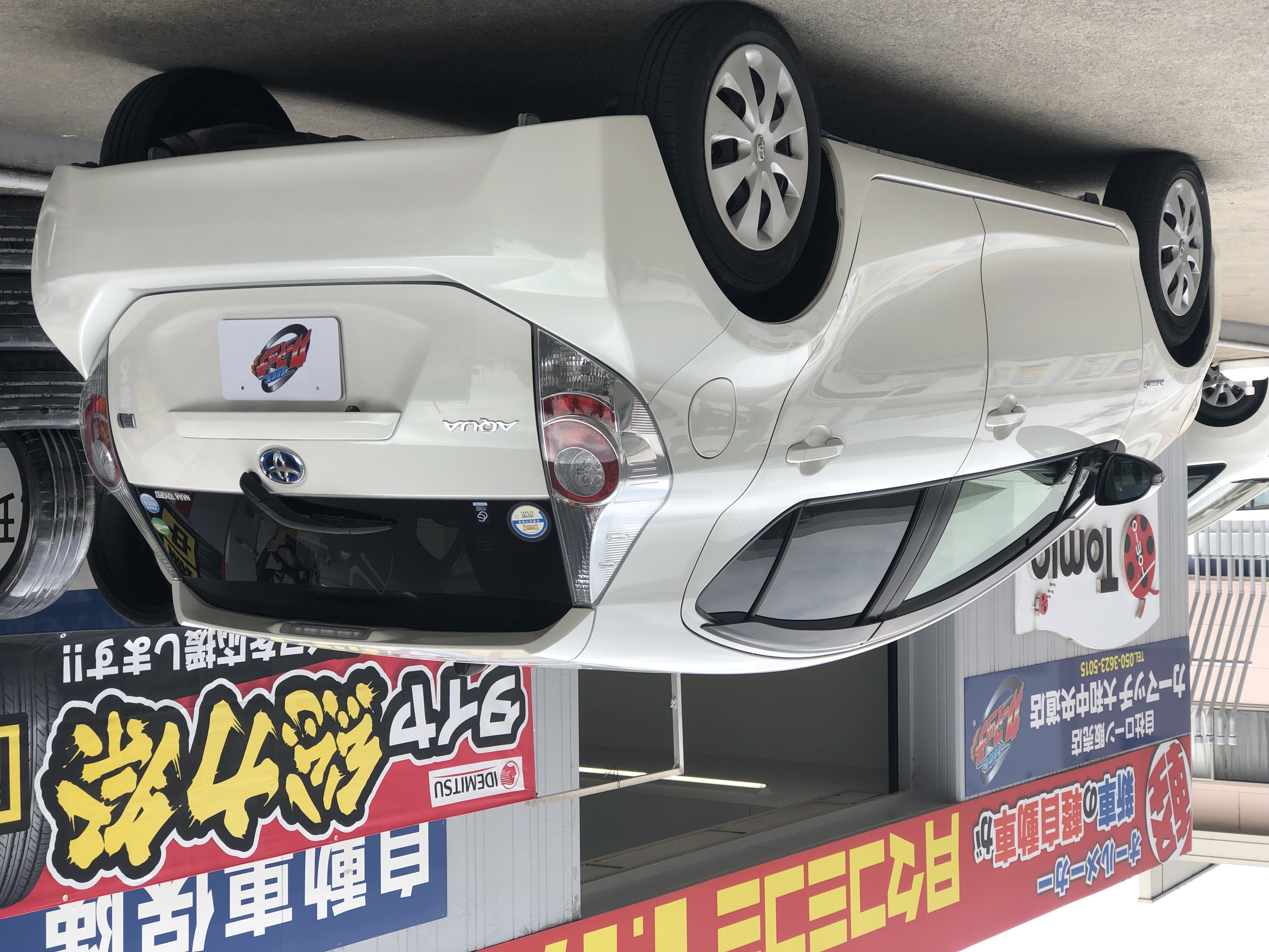 IMG_7174.JPG?1765787716403