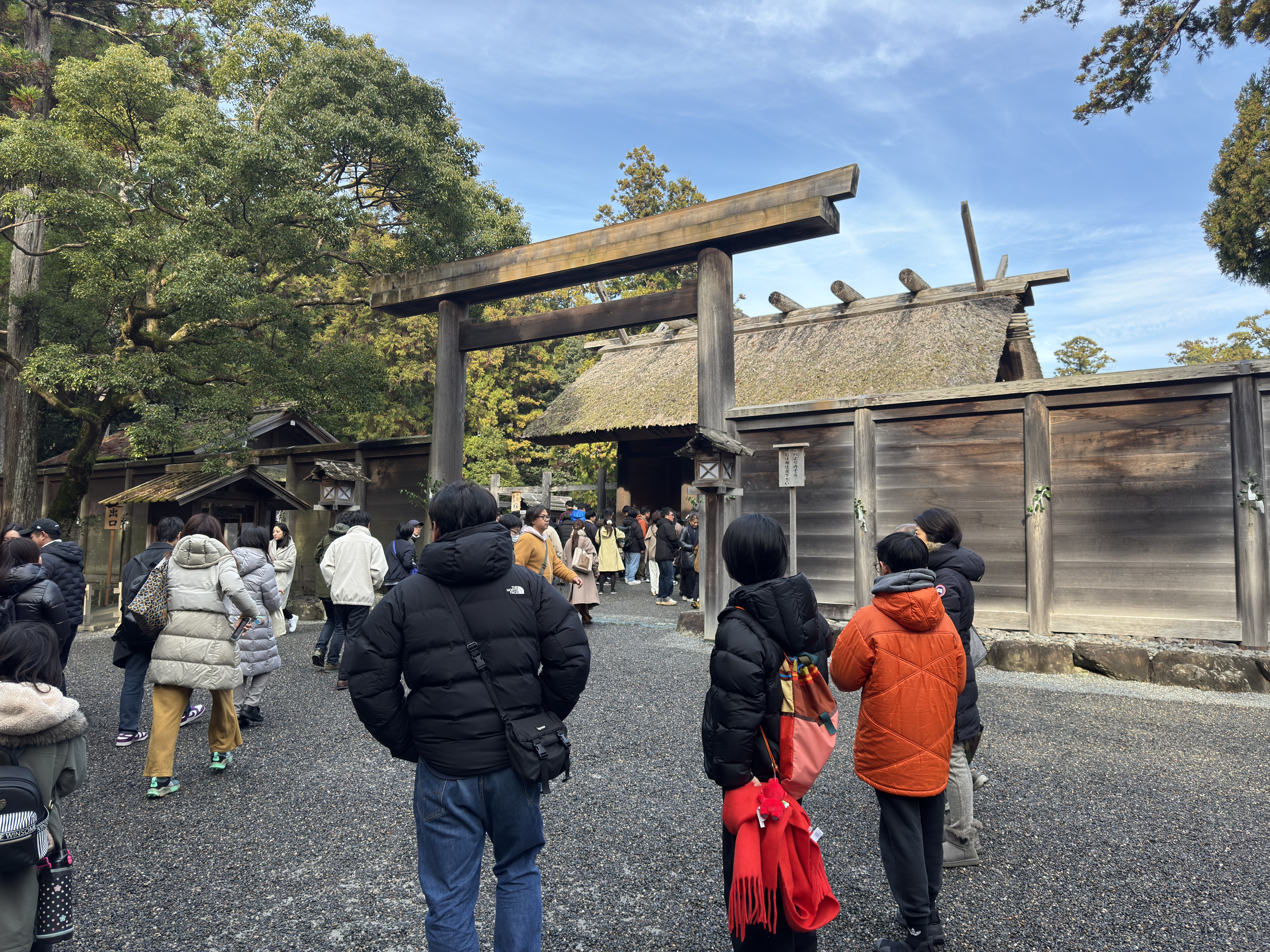 IMG_9590.JPG?1767144736760