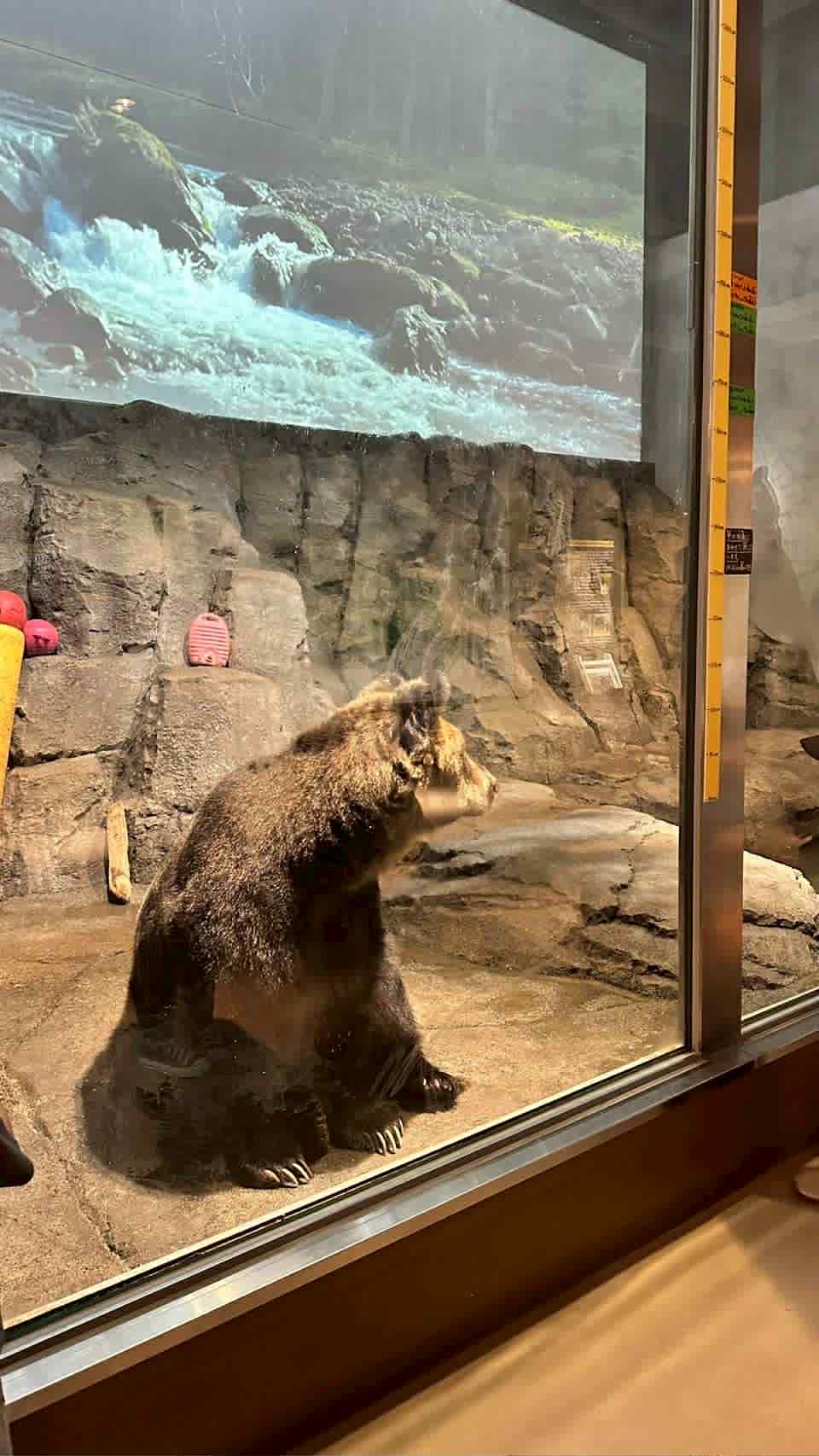 %E3%83%80%E3%82%A6%E3%83%B3%E3%83%AD%E3%