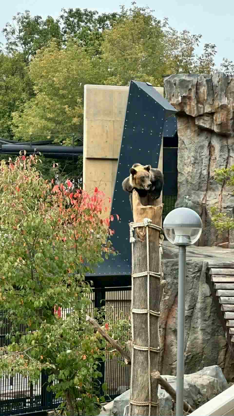 %E3%83%80%E3%82%A6%E3%83%B3%E3%83%AD%E3%