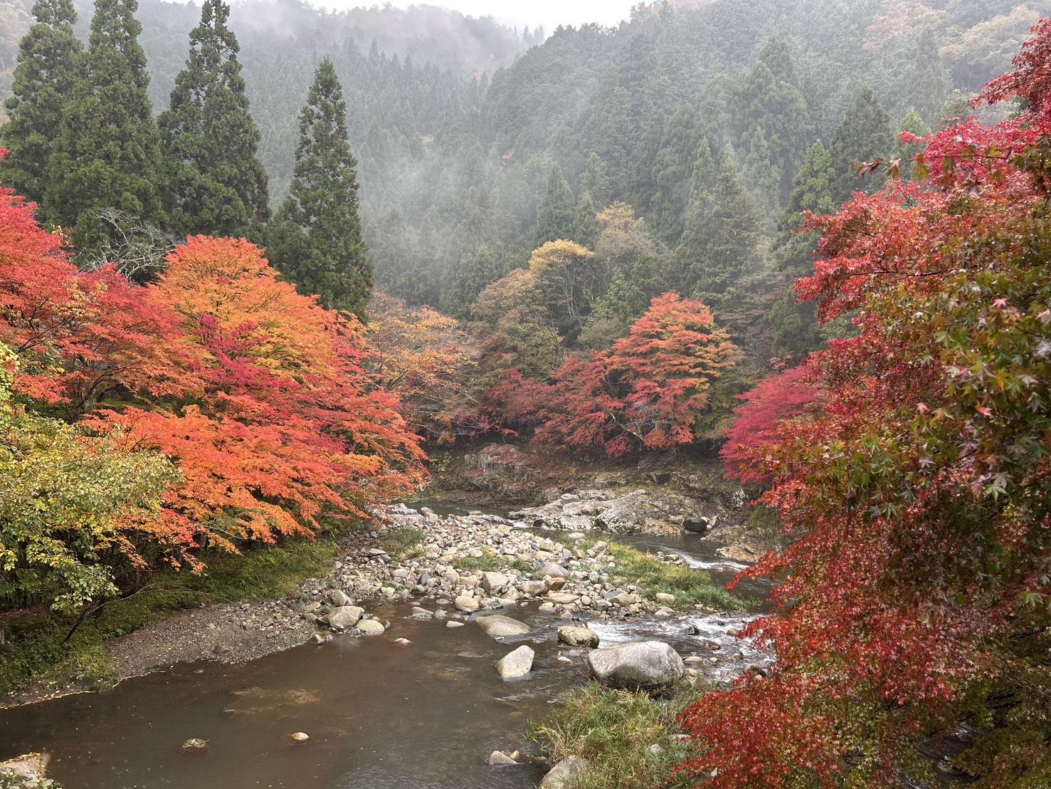 S__164831241_0.jpg?1762740842149