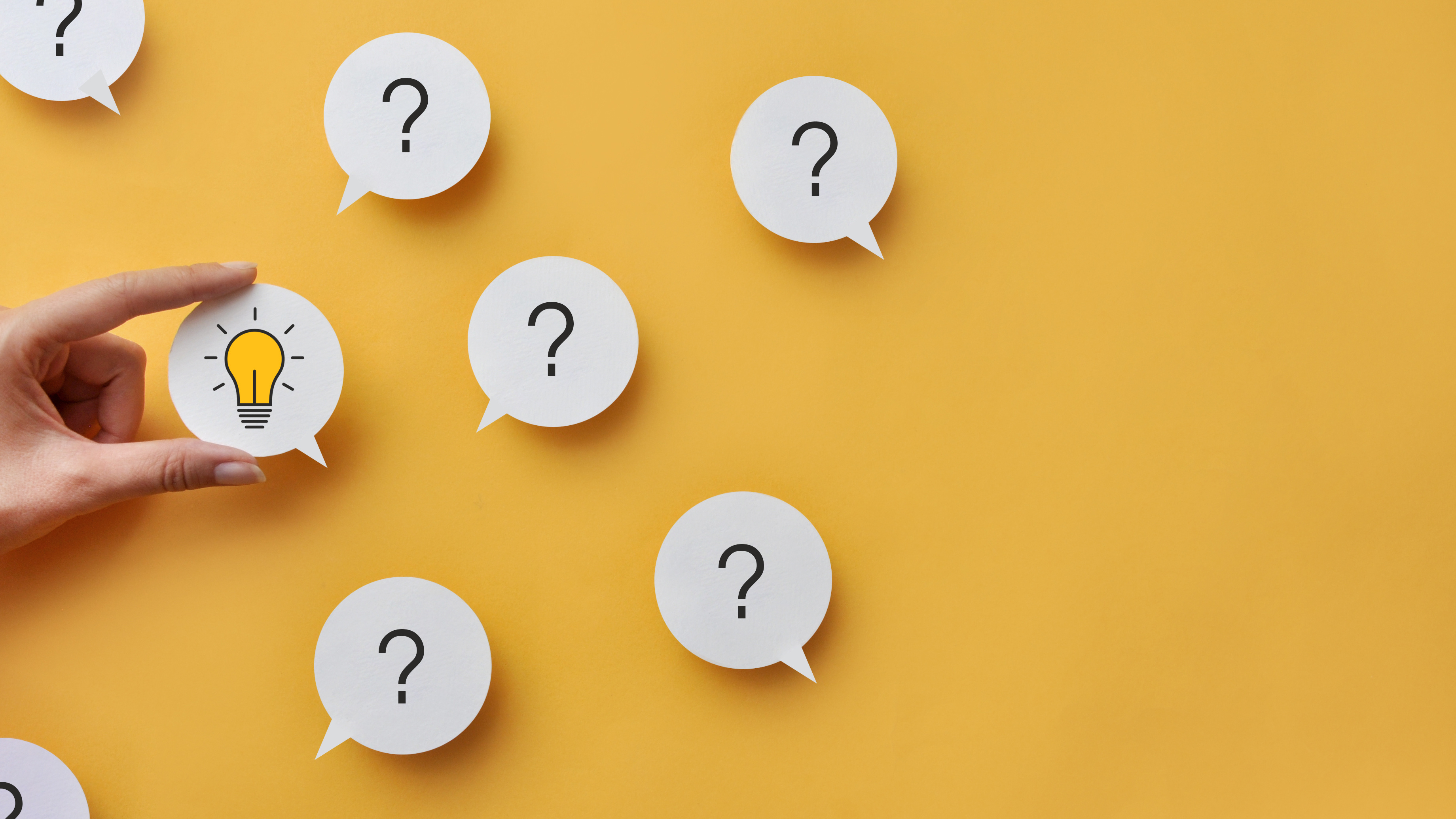 04_section.jpeg?1764643392128