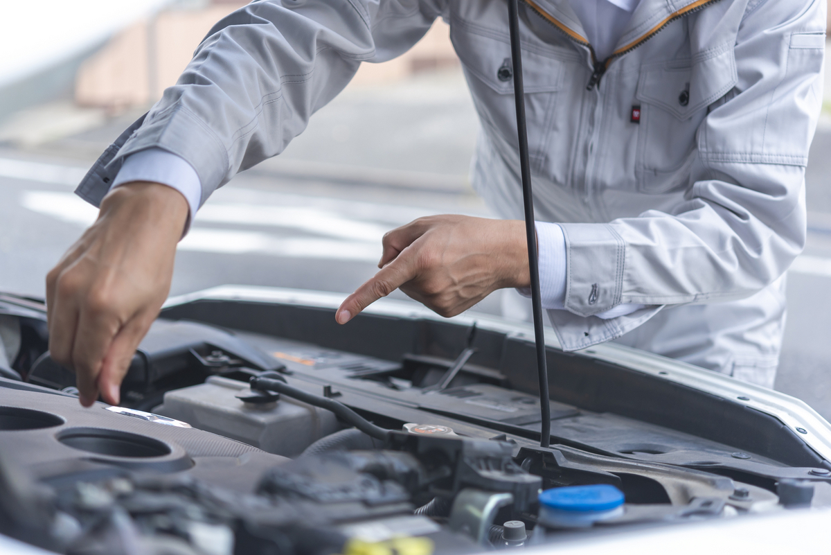 20231024112924.jpg?1763345768464