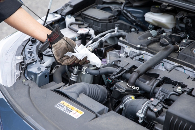 33100956_s.jpg?1764503121036