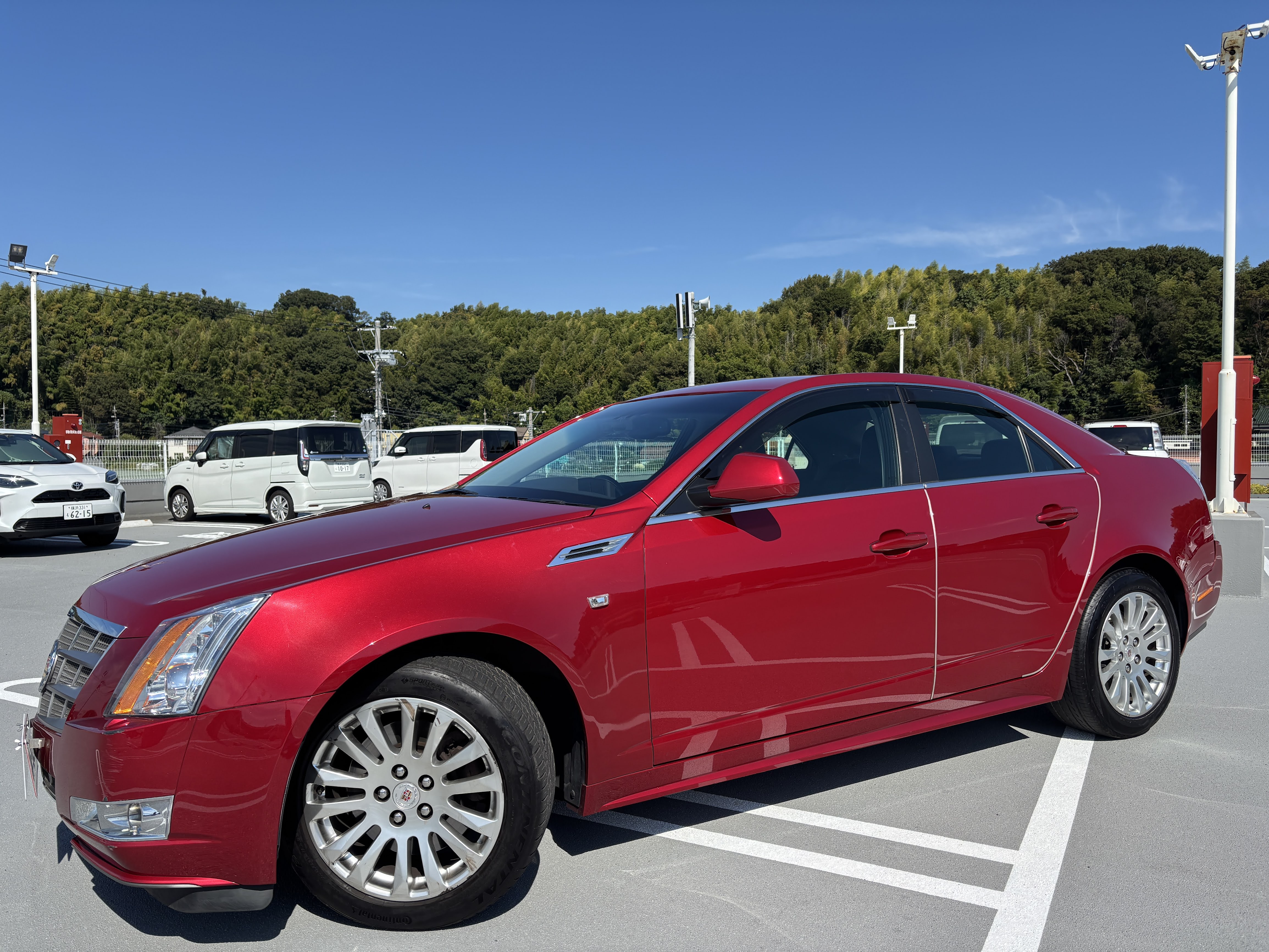 IMG_0029.jpeg?1771771940440