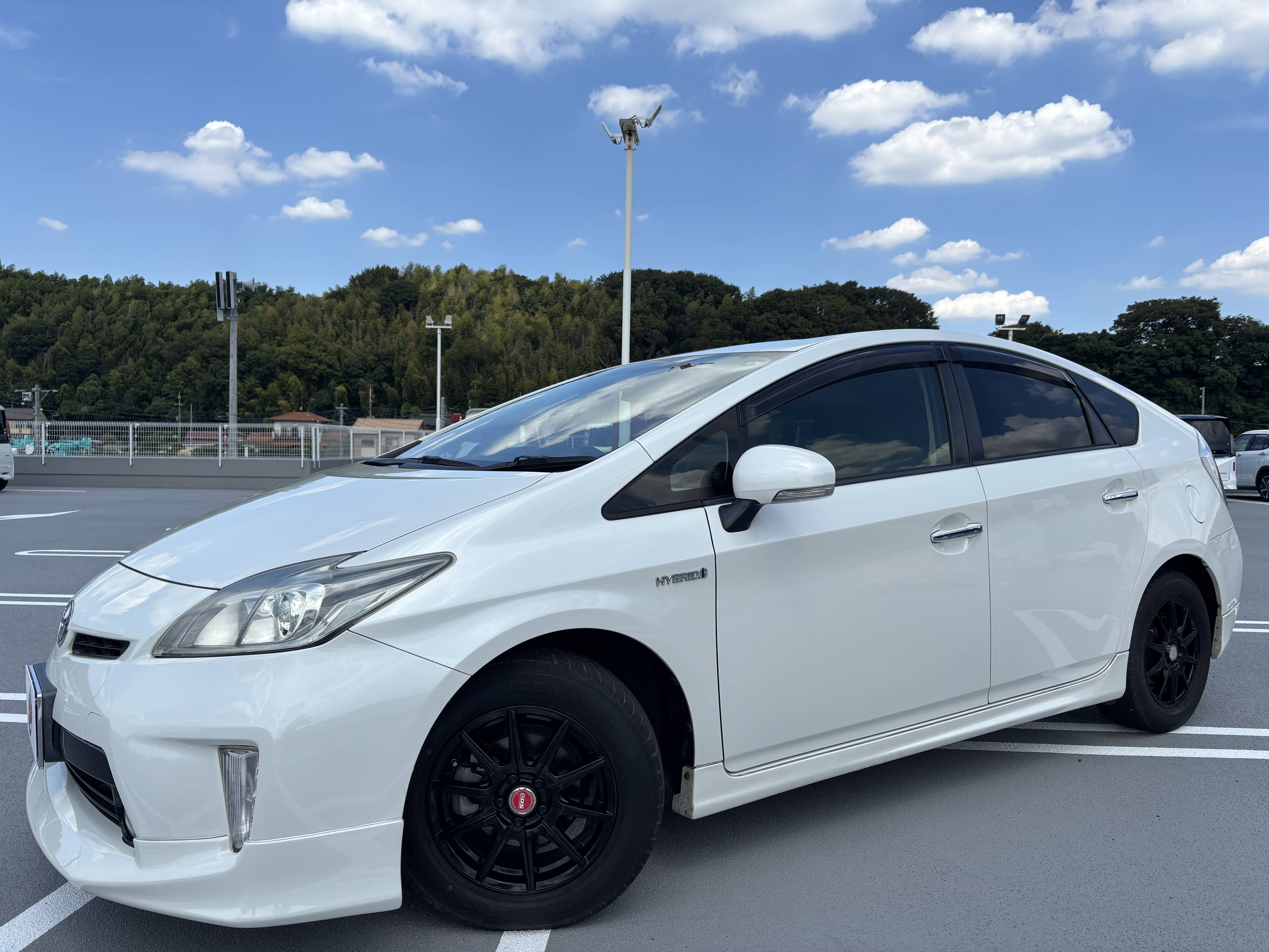 IMG_0118.jpeg?1771770870116