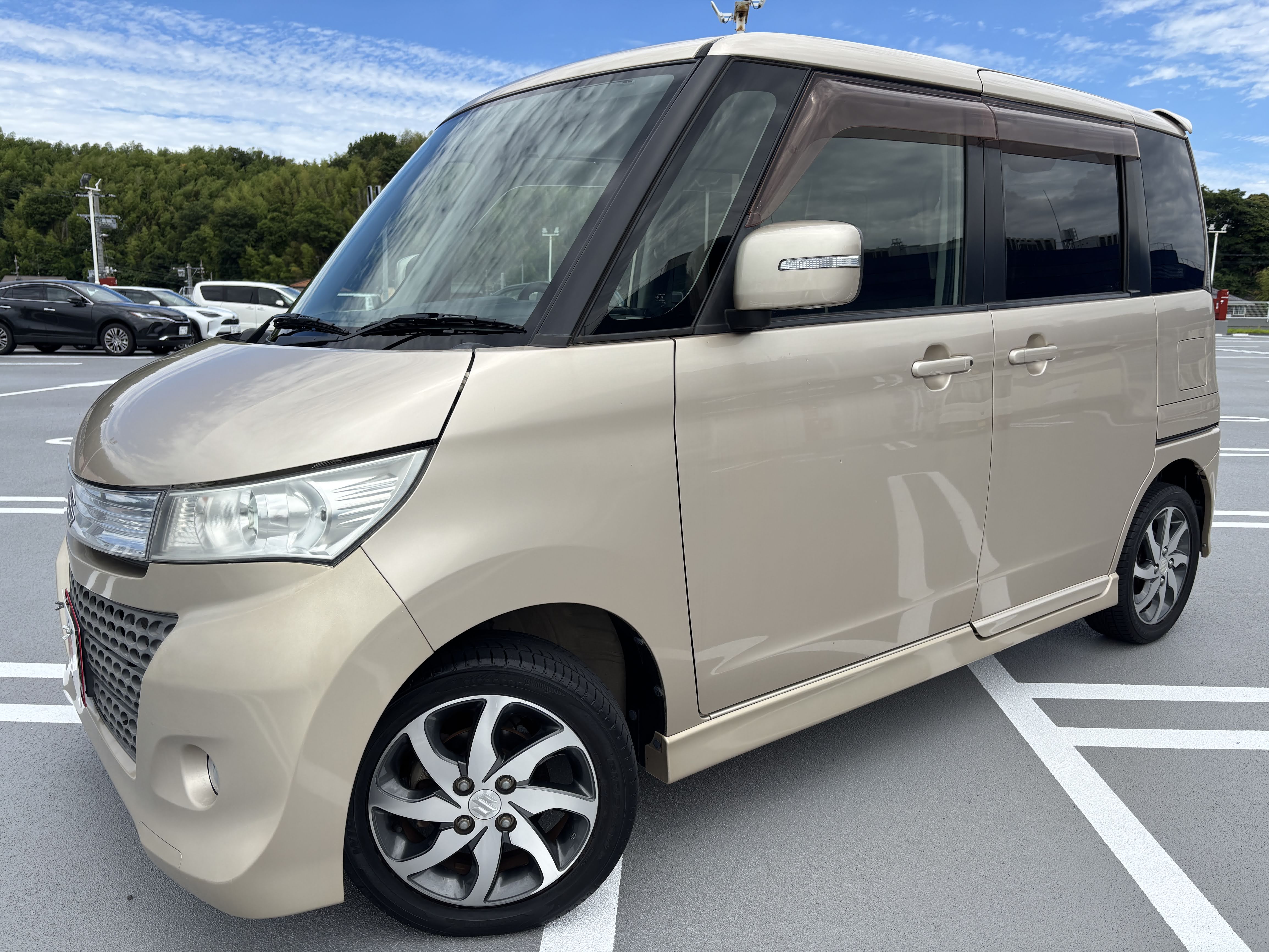 IMG_3068.jpeg?1765598456939