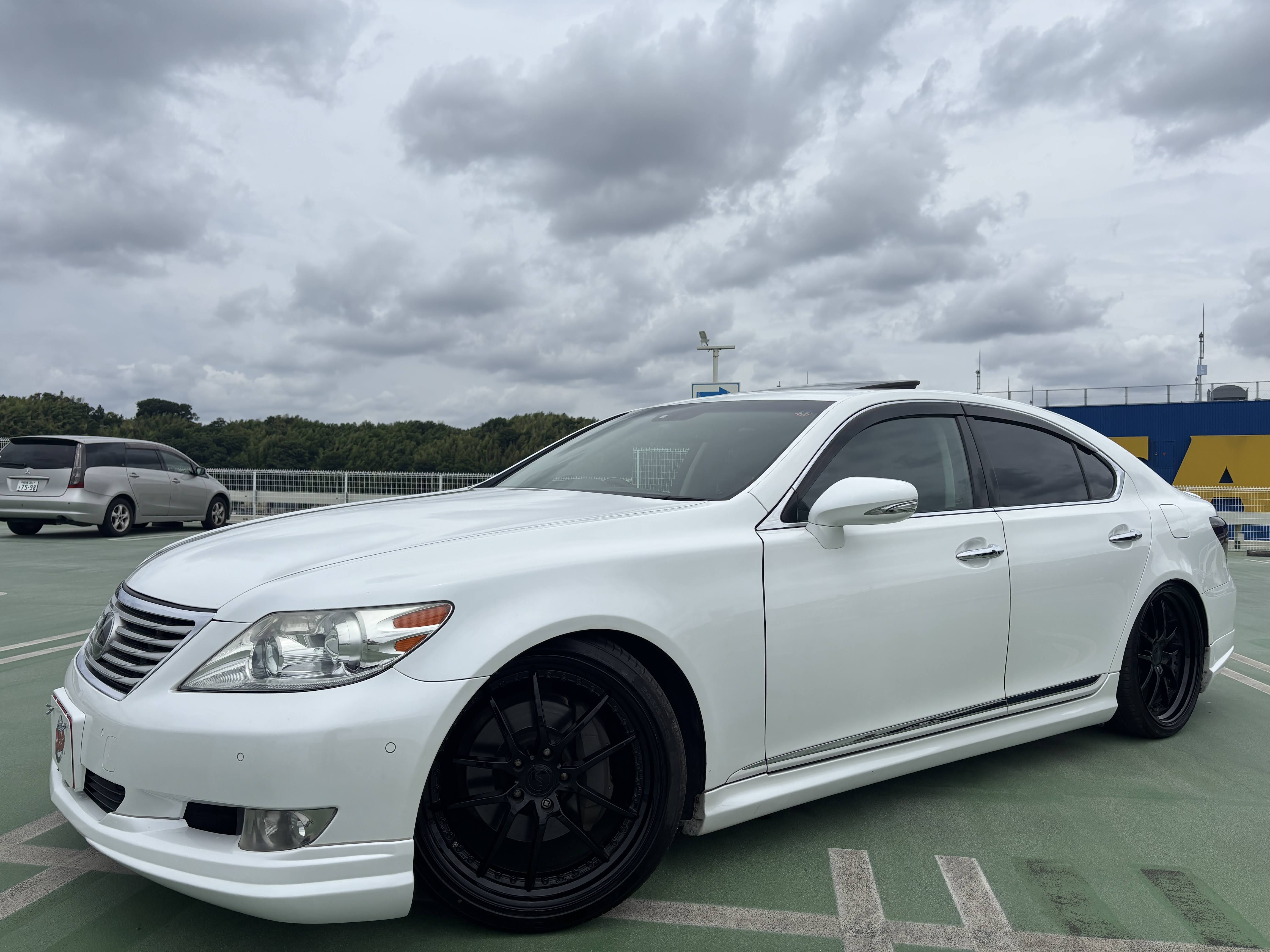 IMG_4047.jpeg?1768800360890