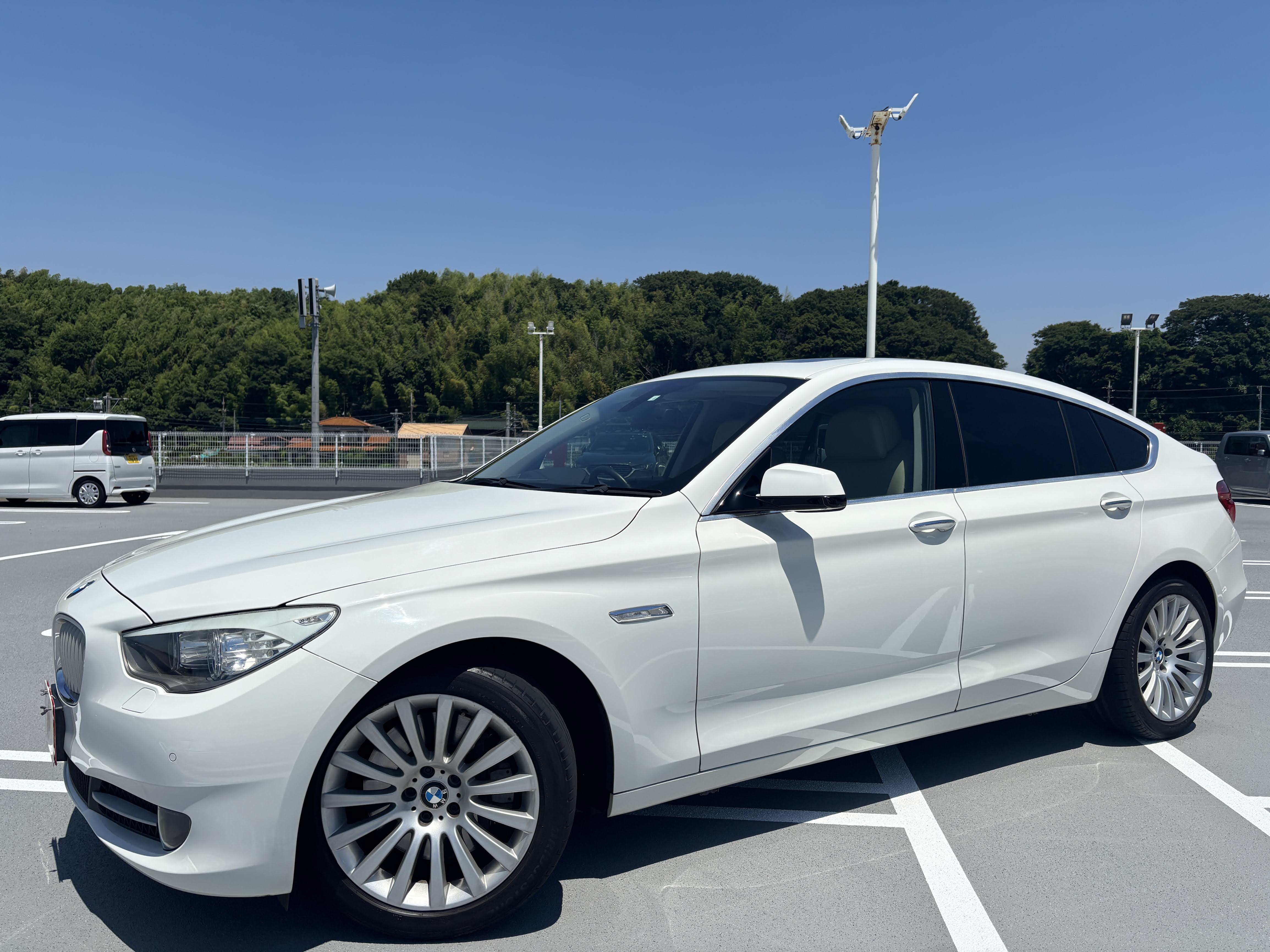 IMG_4192.jpeg?1769076736413