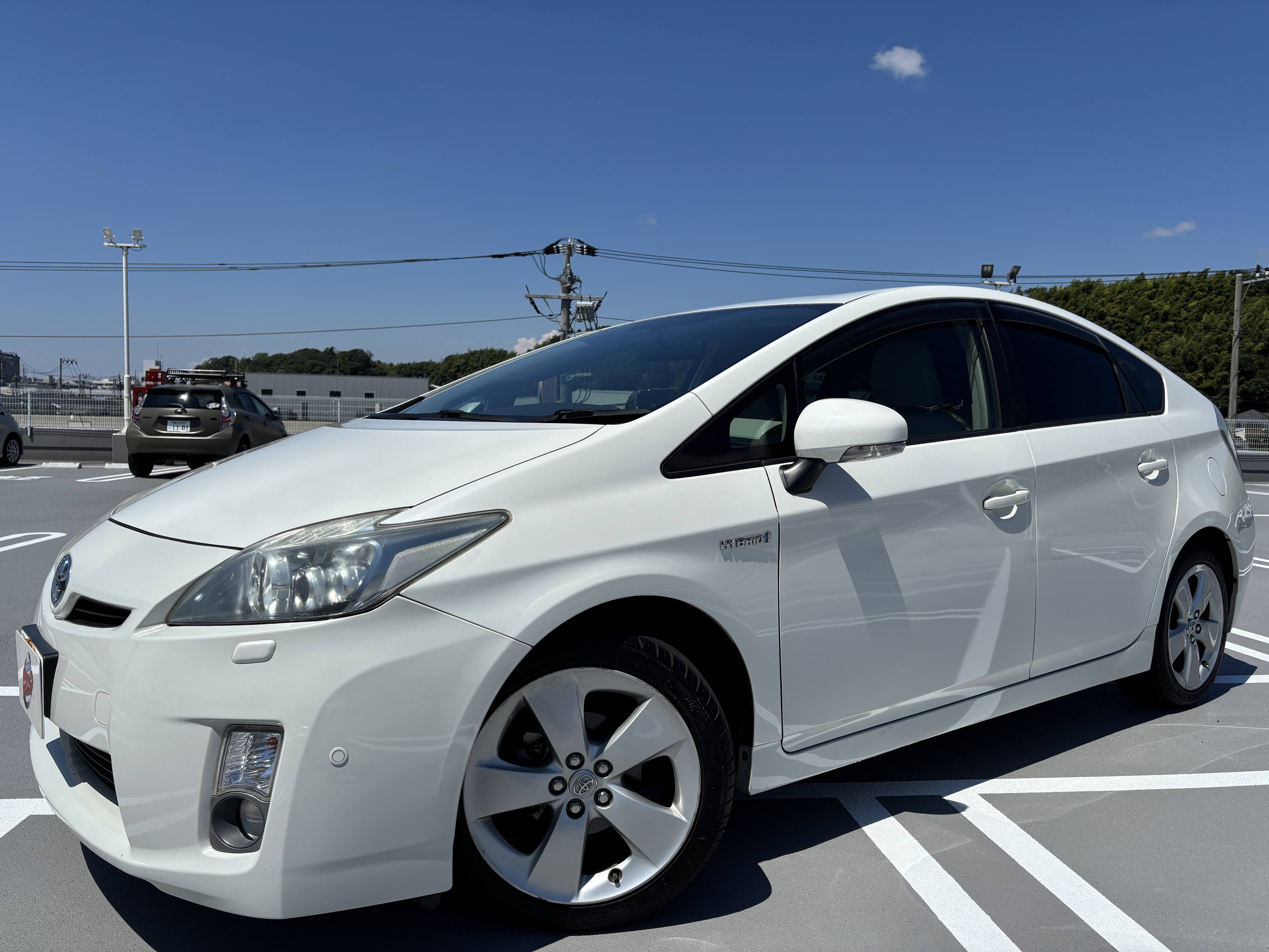 IMG_6583.jpeg?1770436164608