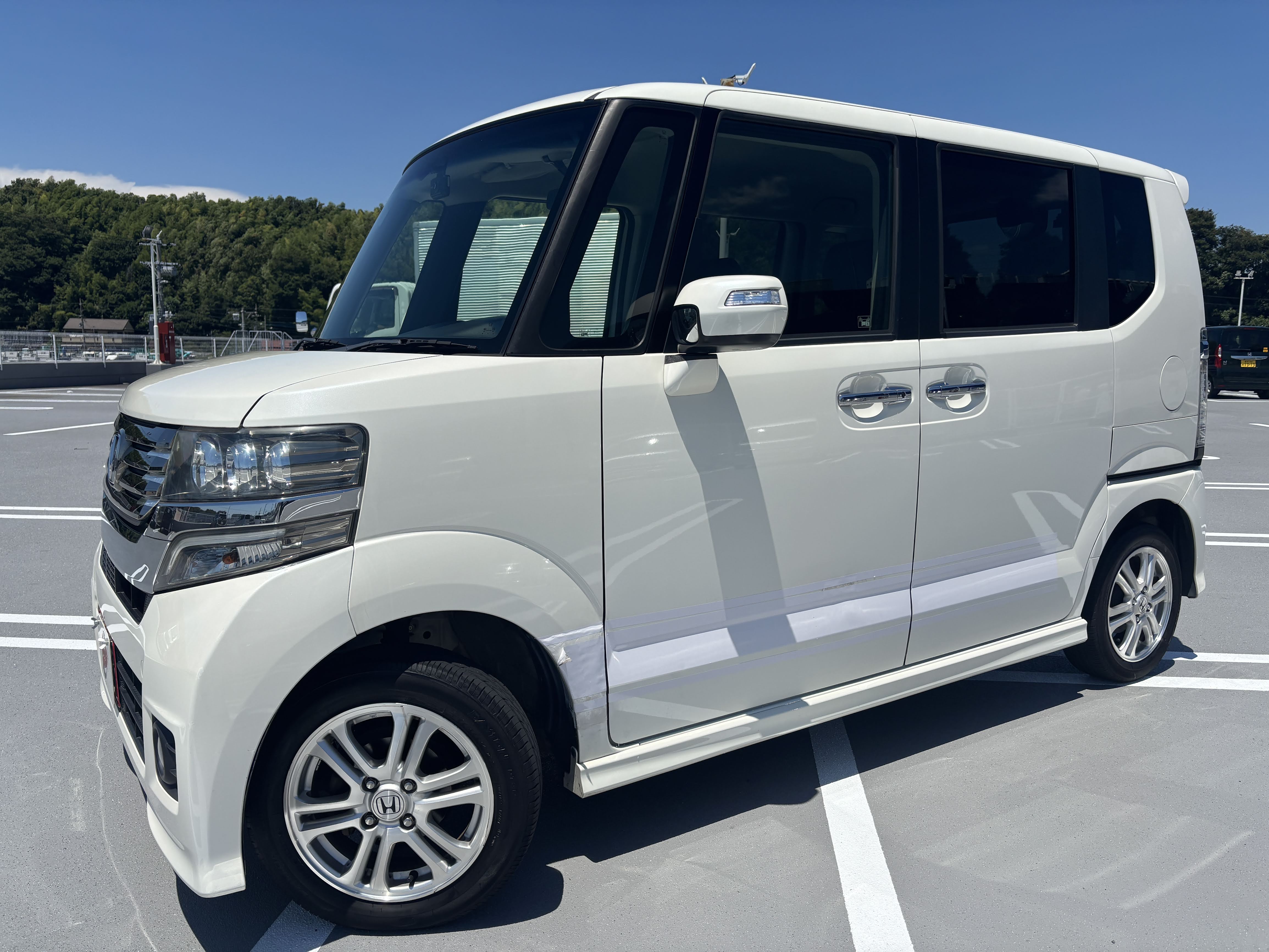 IMG_6679.jpeg?1770197259120