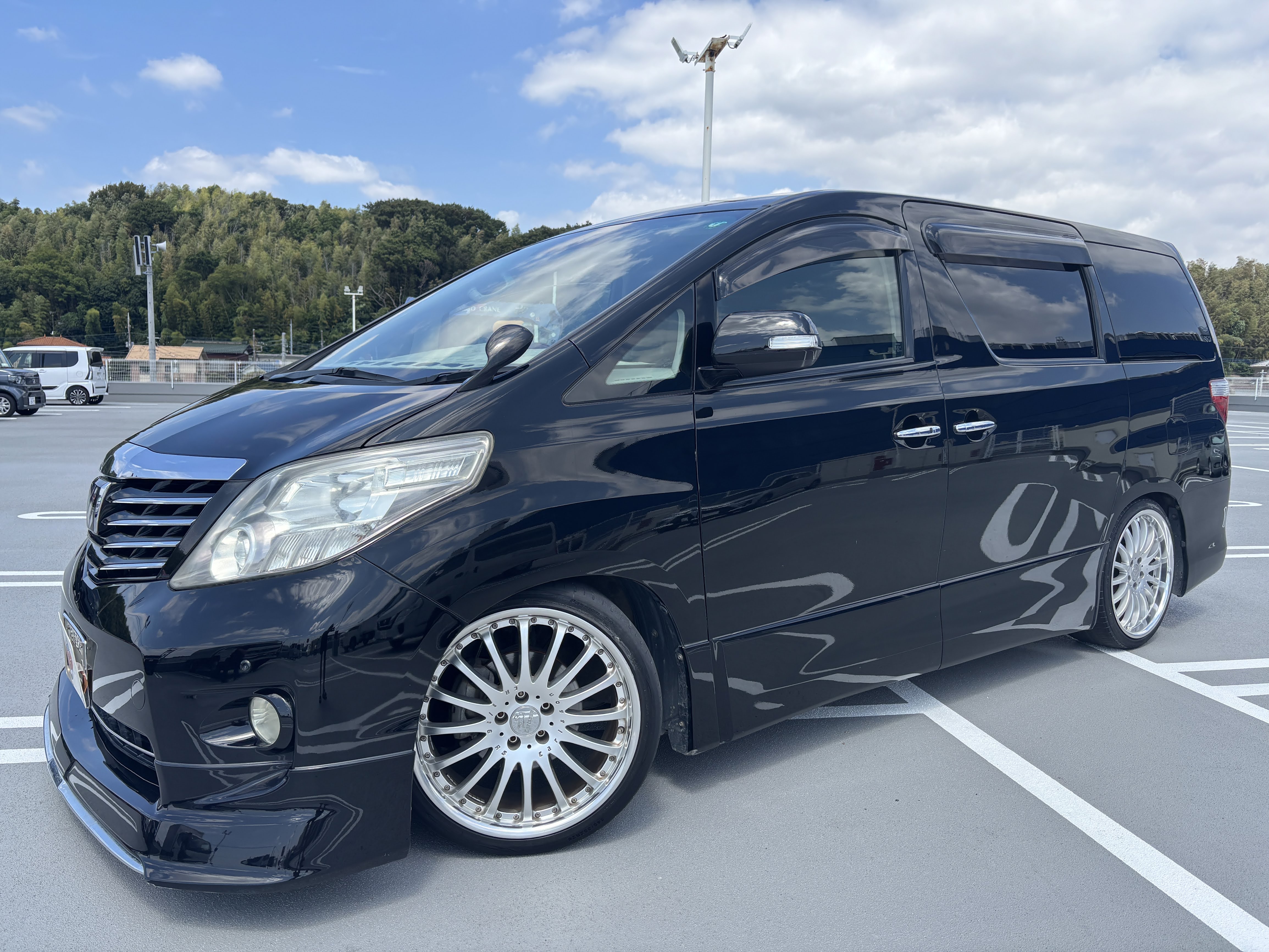 IMG_9646.jpeg?1771392117653