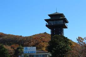 %E3%83%80%E3%82%A6%E3%83%B3%E3%83%AD%E3%