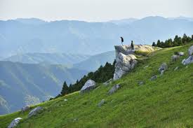 %E3%83%80%E3%82%A6%E3%83%B3%E3%83%AD%E3%