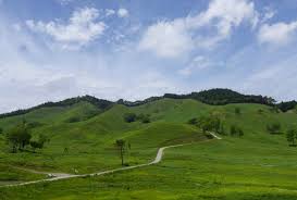 %E3%83%80%E3%82%A6%E3%83%B3%E3%83%AD%E3%