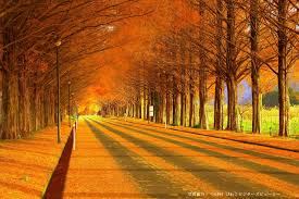 %E3%83%80%E3%82%A6%E3%83%B3%E3%83%AD%E3%