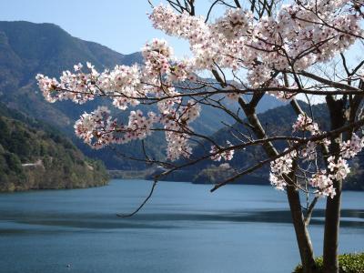 14527.jpg?1775309194797