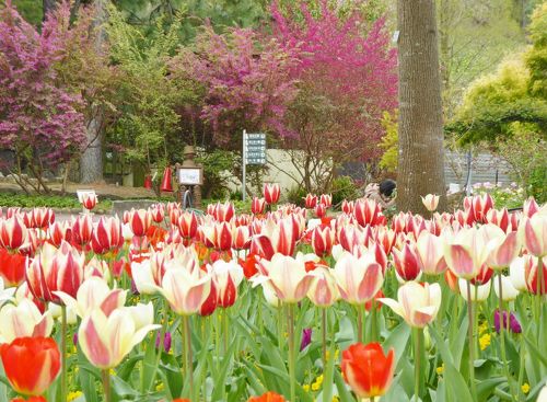 500x_11121211.jpg?1775309180473