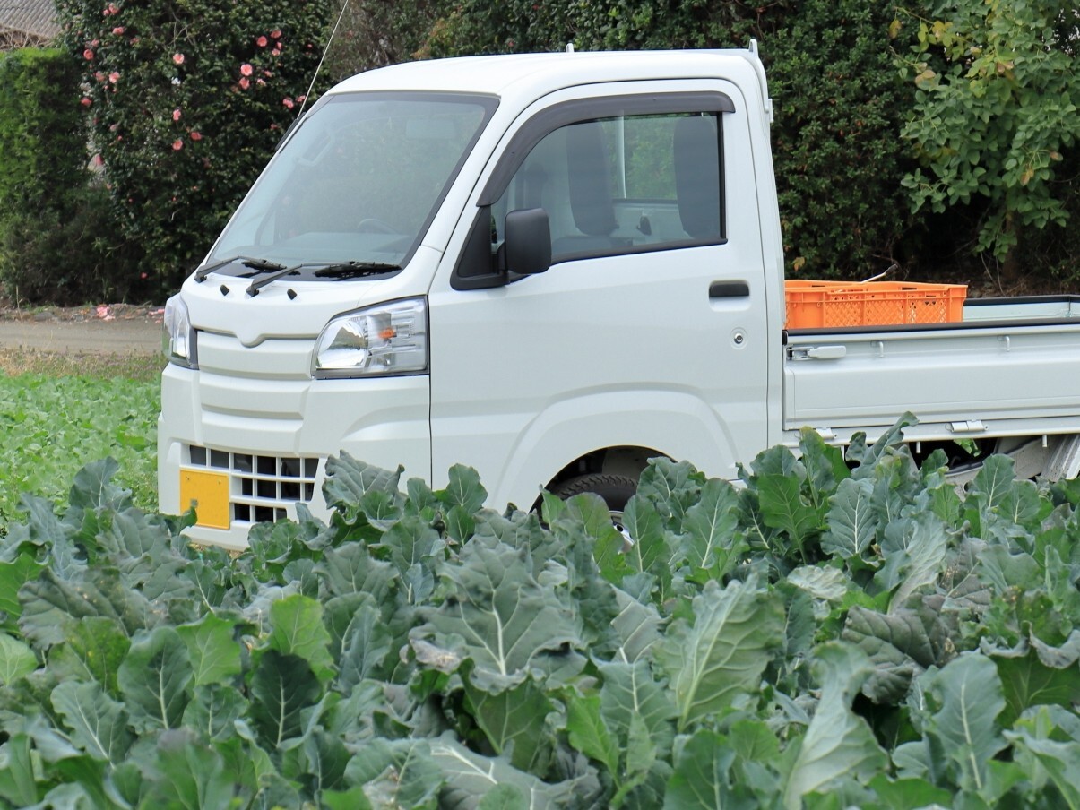 033-04-%E3%82%AB%E3%83%BC%E3%83%9E%E3%83