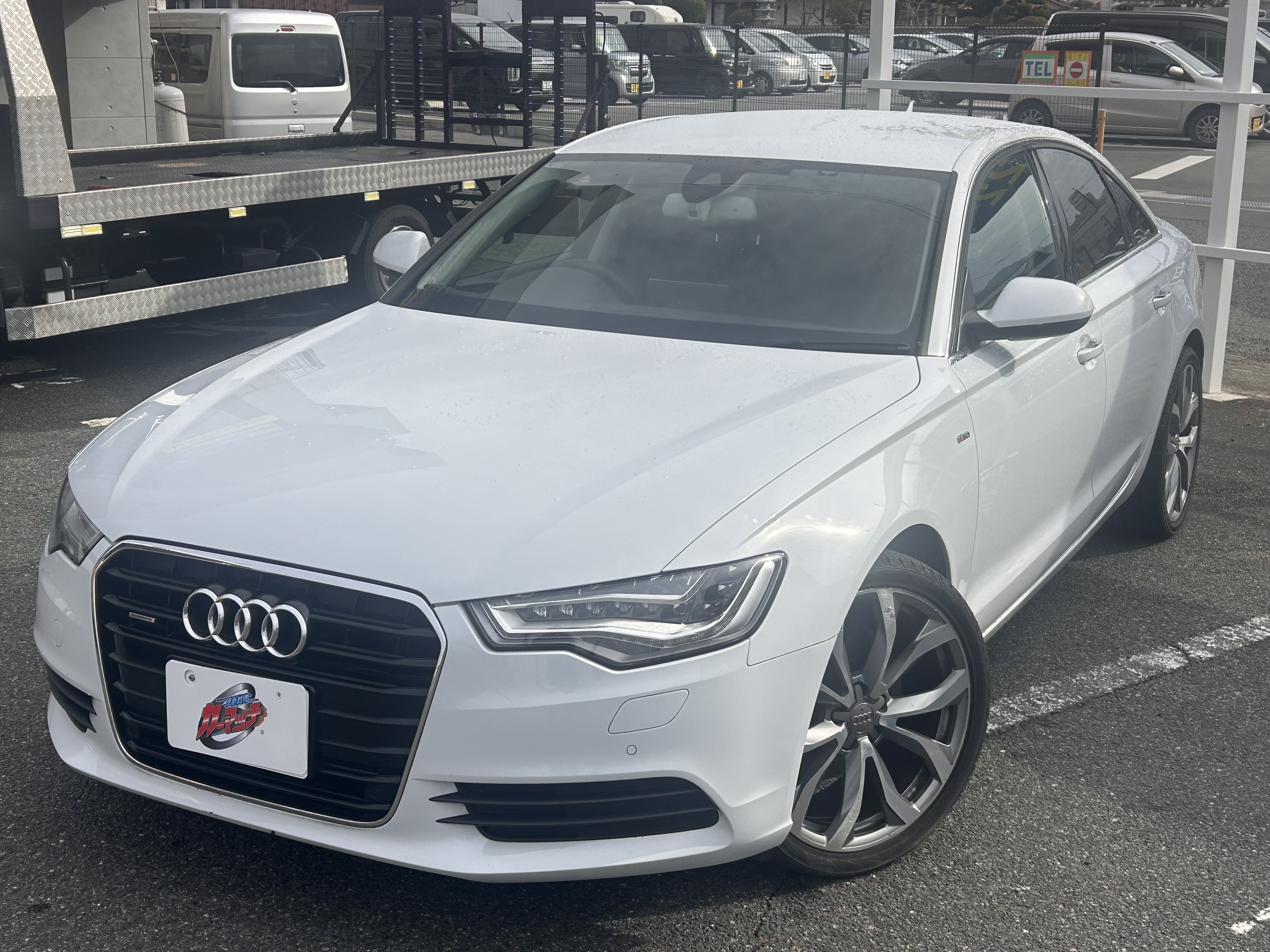 IMG_2044.jpg?1770258167006