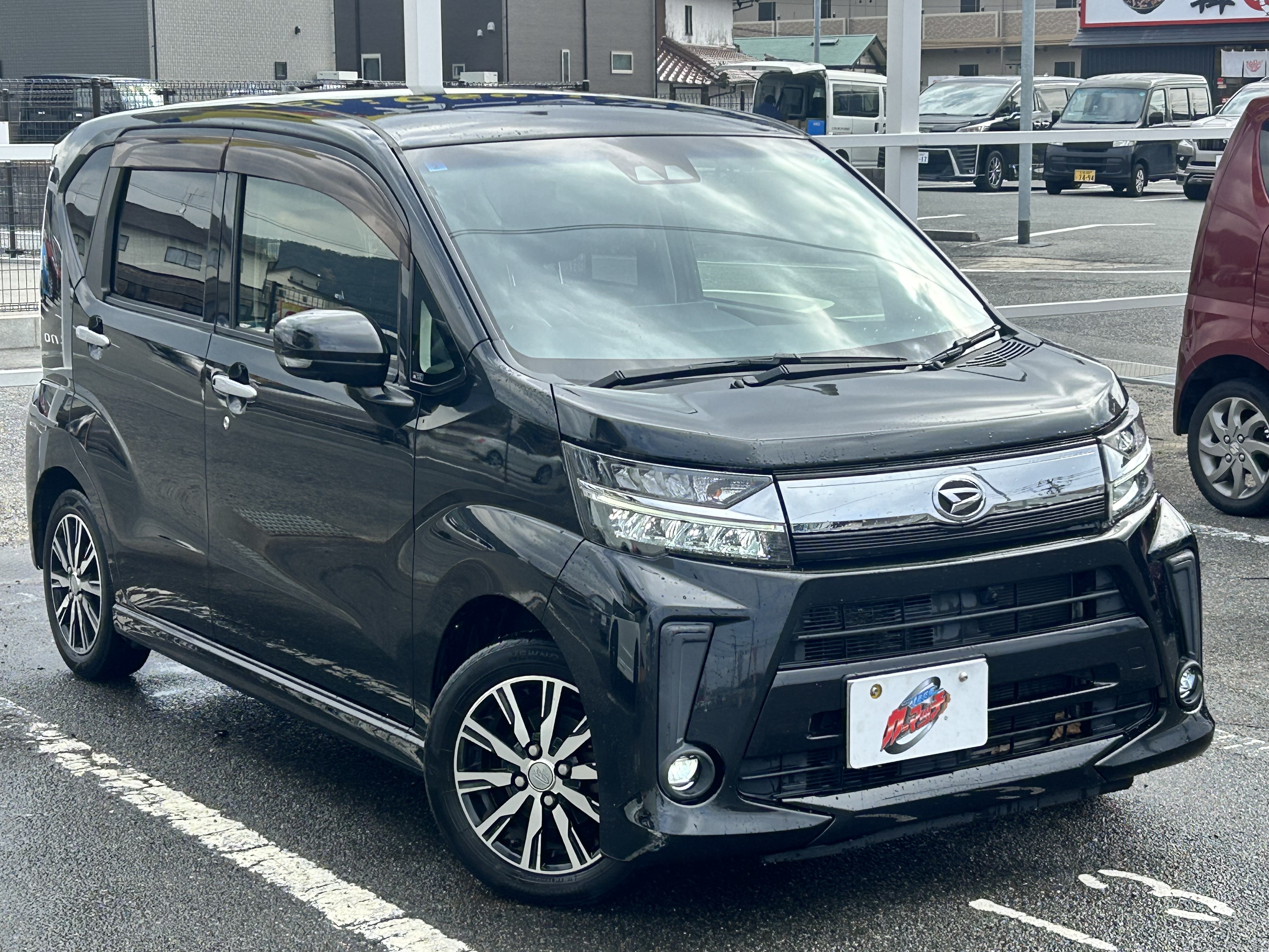 IMG_2310.jpg?1771564600960