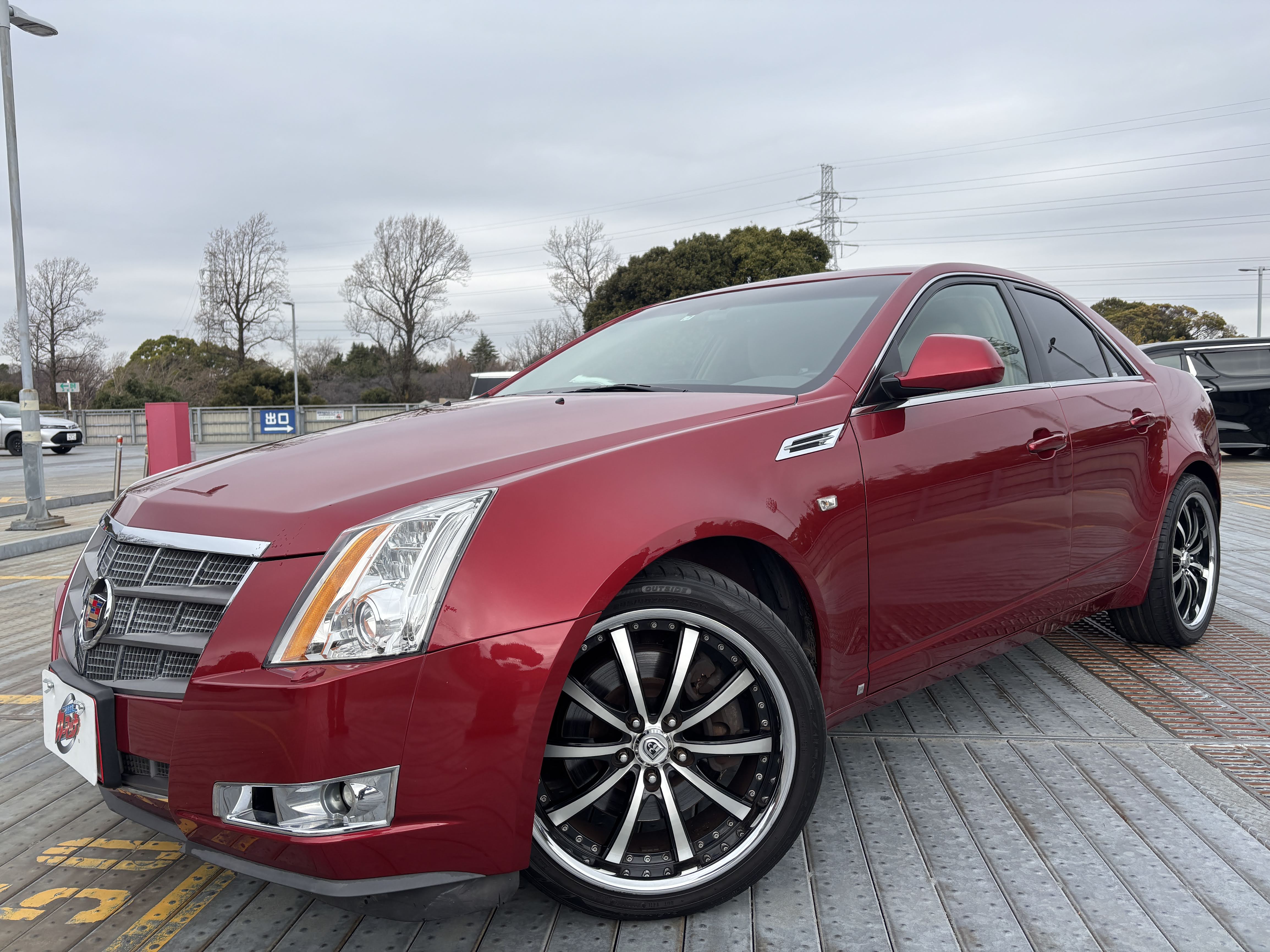 IMG_2653.jpeg?1772503599795