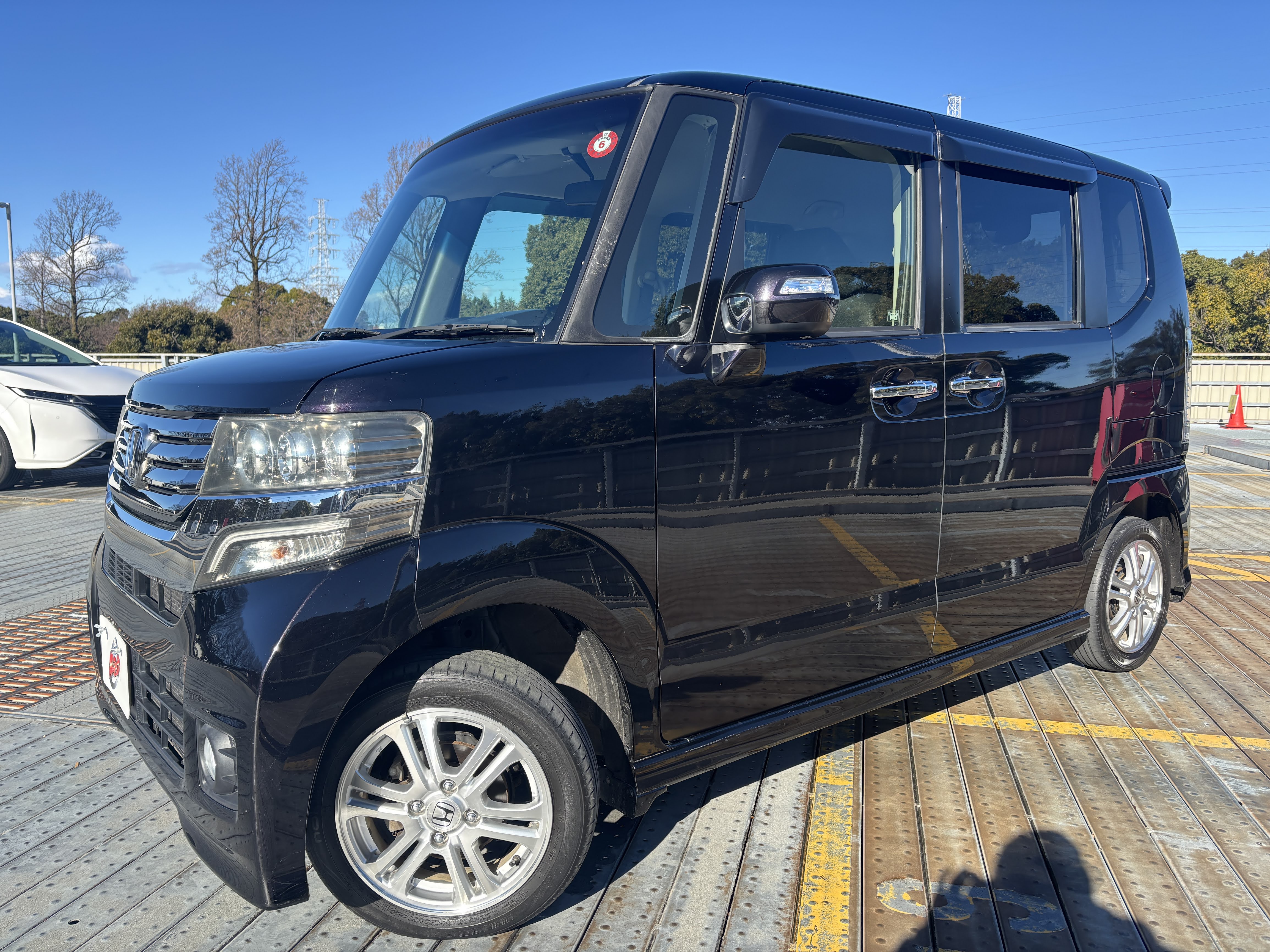 IMG_8311.jpeg?1768038103183