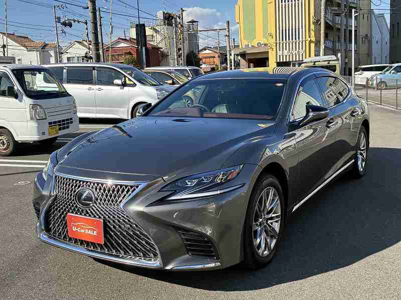 IMG_9007.jpg?1768285922913