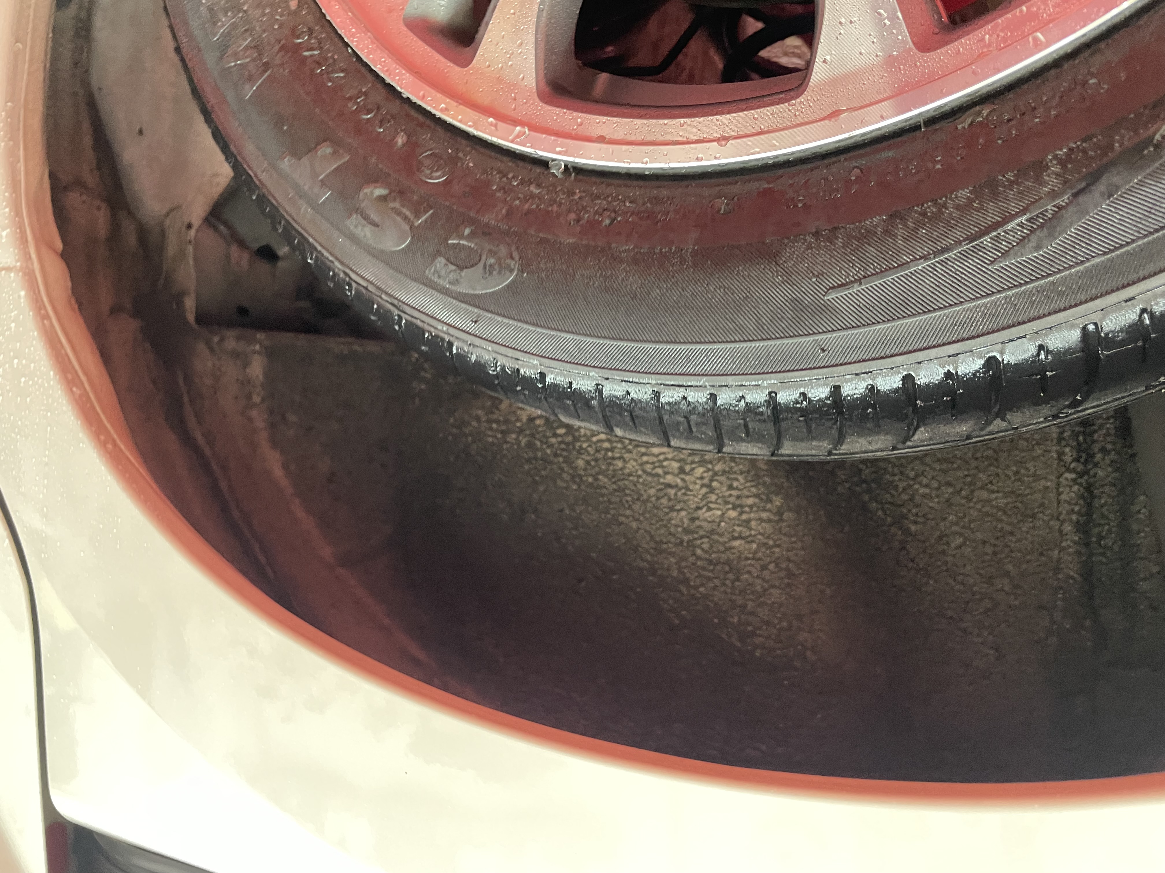 IMG_5711.jpeg?1771544558739