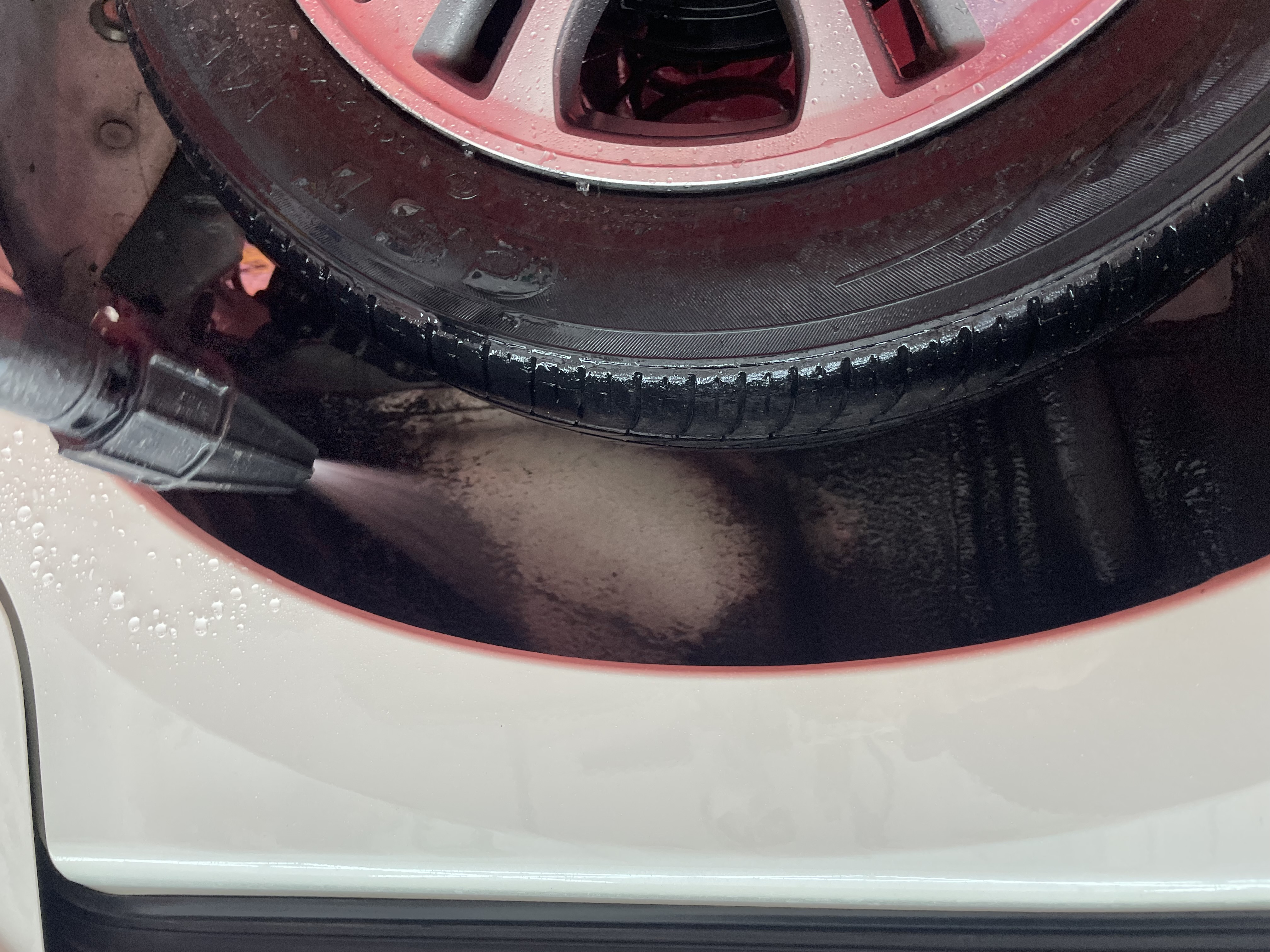 IMG_5712.jpeg?1771544624145