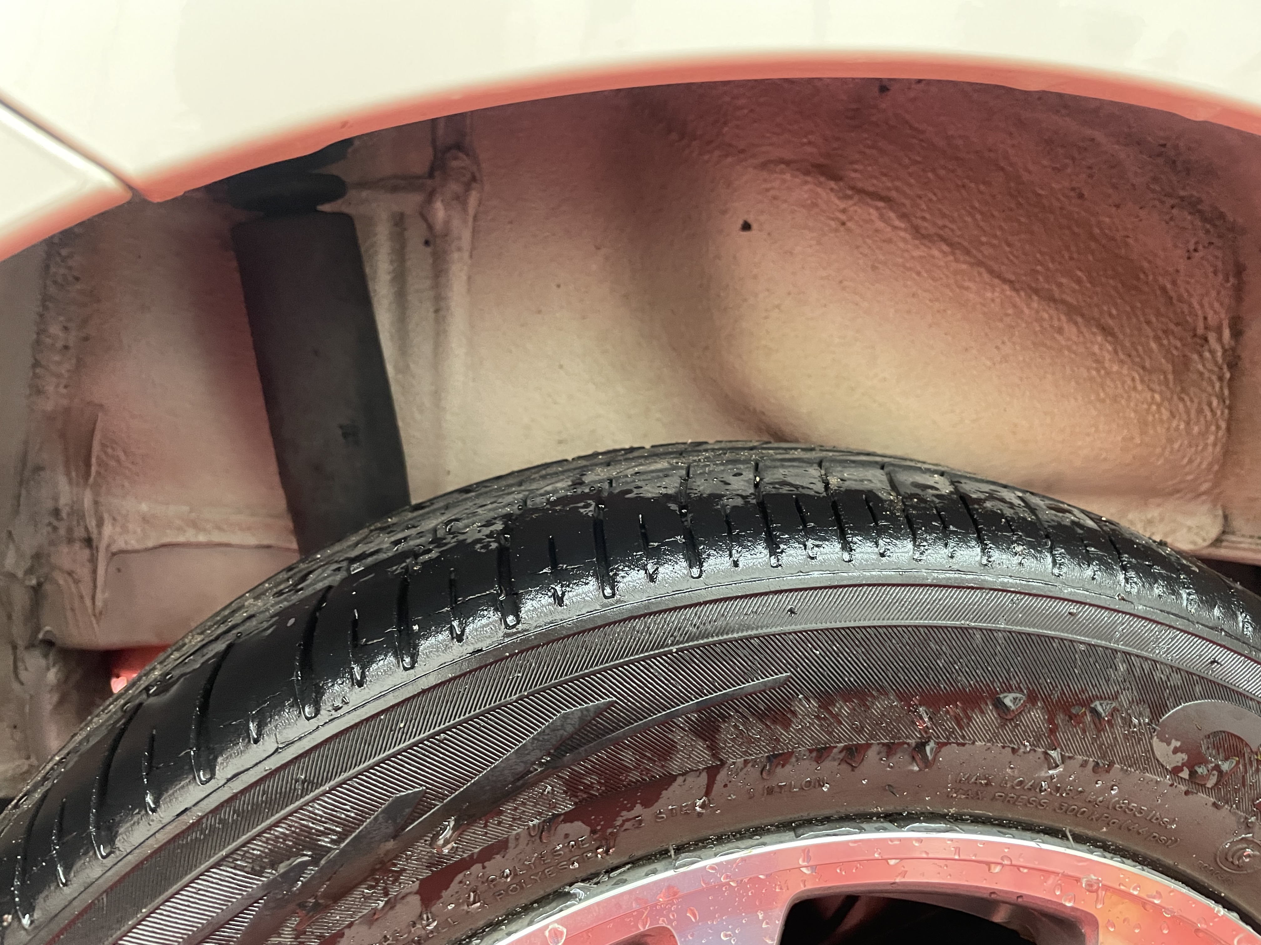 IMG_5739.jpeg?1771544933181