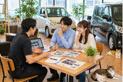 明るい中古車販売店の店内でテーブルを囲みながらスタッフと男女のお客様が車の相談をして不安から安心へ変わっているリアルな商談風景と足元でくつろぐ猫たち