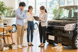 明るい中古車販売店の店内で車の横に立ちながらスタッフが男女のお客様に説明し悩みながらも納得していく相談シーンと足元でくつろぐ猫たち