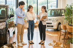 明るい中古車販売店の店内で車の横に立ちながらスタッフと男女のお客様が会話しながら前向きに相談している自然な接客シーンと足元でくつろぐ猫たち
