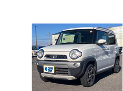 フレアクロスオーバー【メモリーナビ】