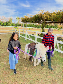 河北潟湖畔のファミリーフレンドリーなドライブ先「金沢競馬場」